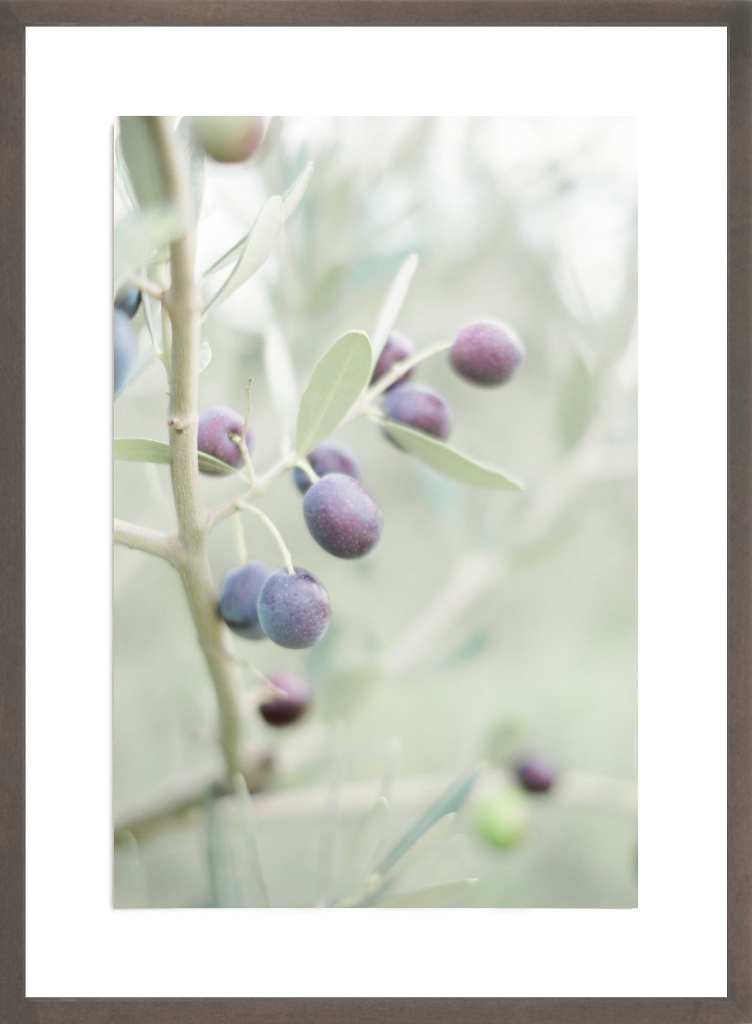 Olive You