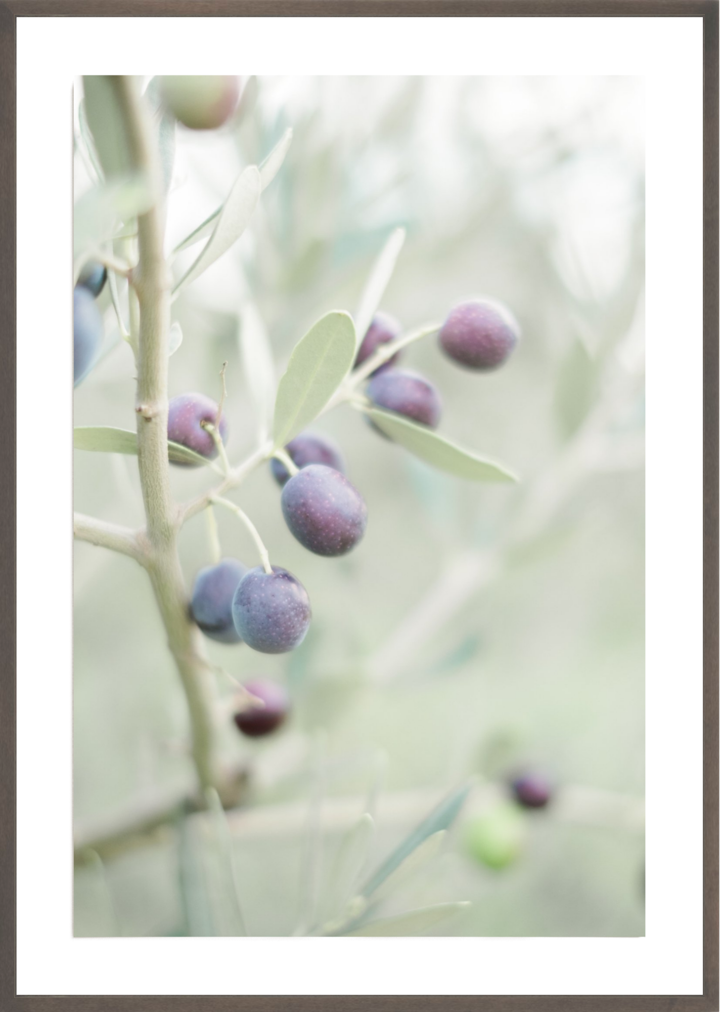 Olive You