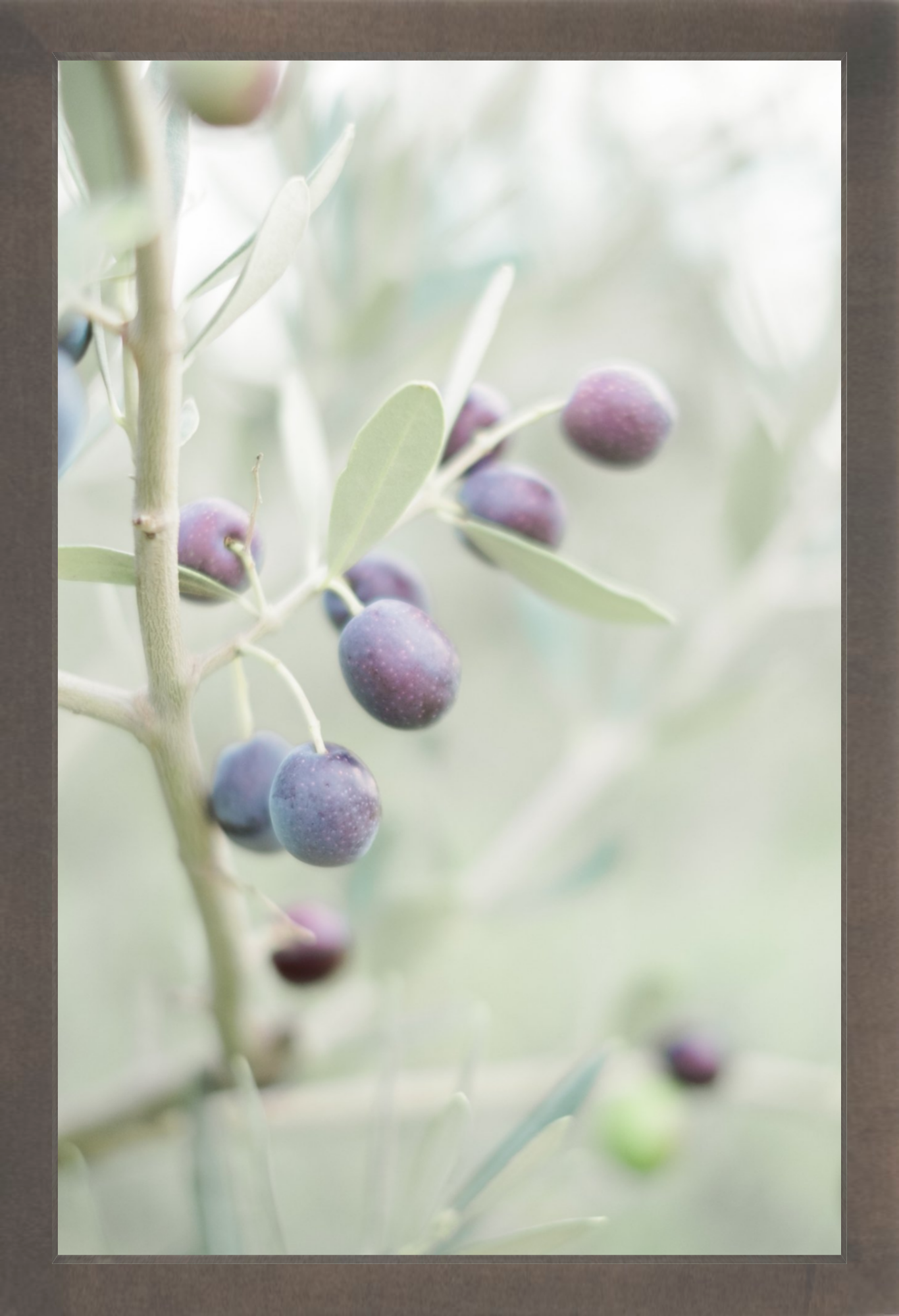 Olive You