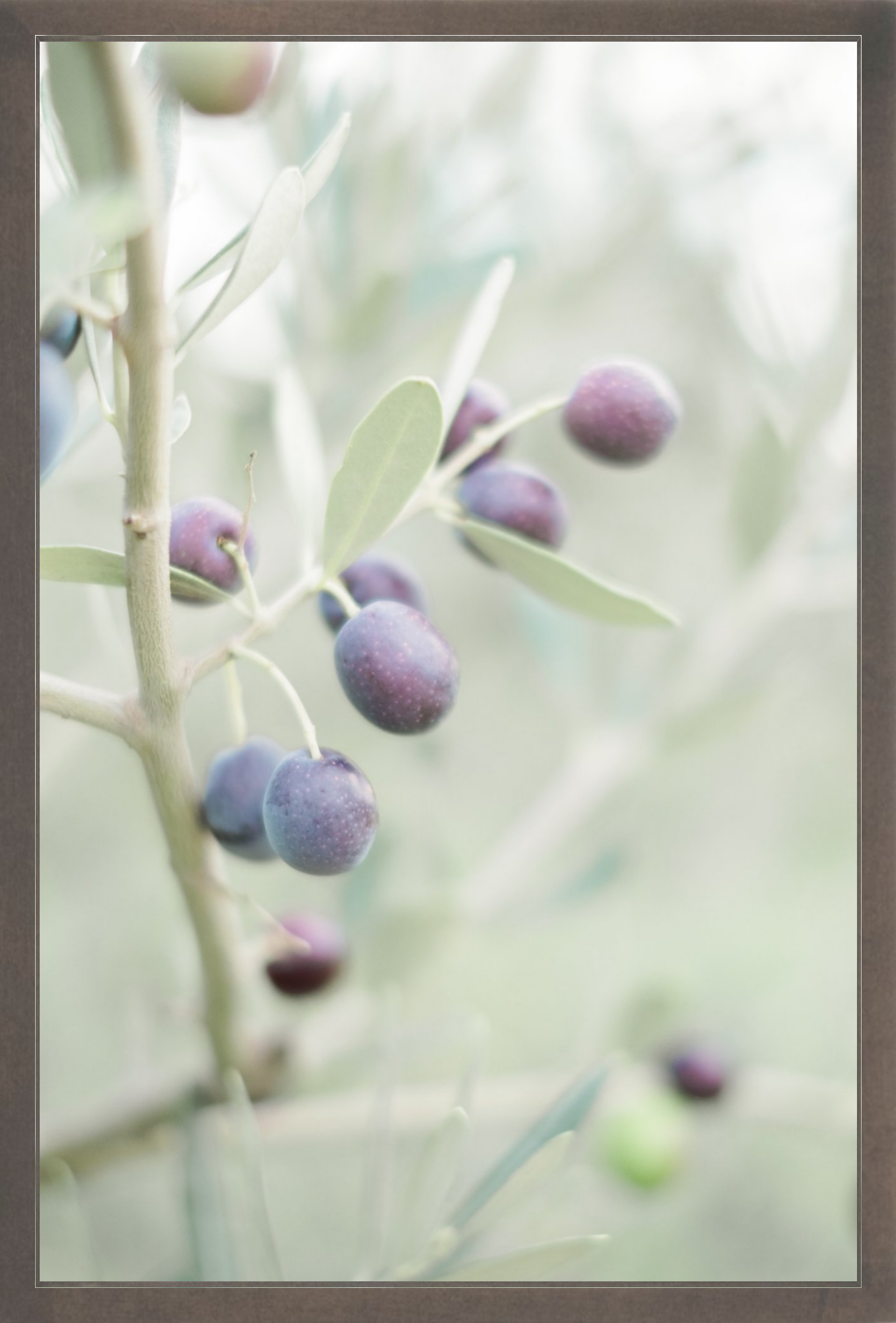 Olive You