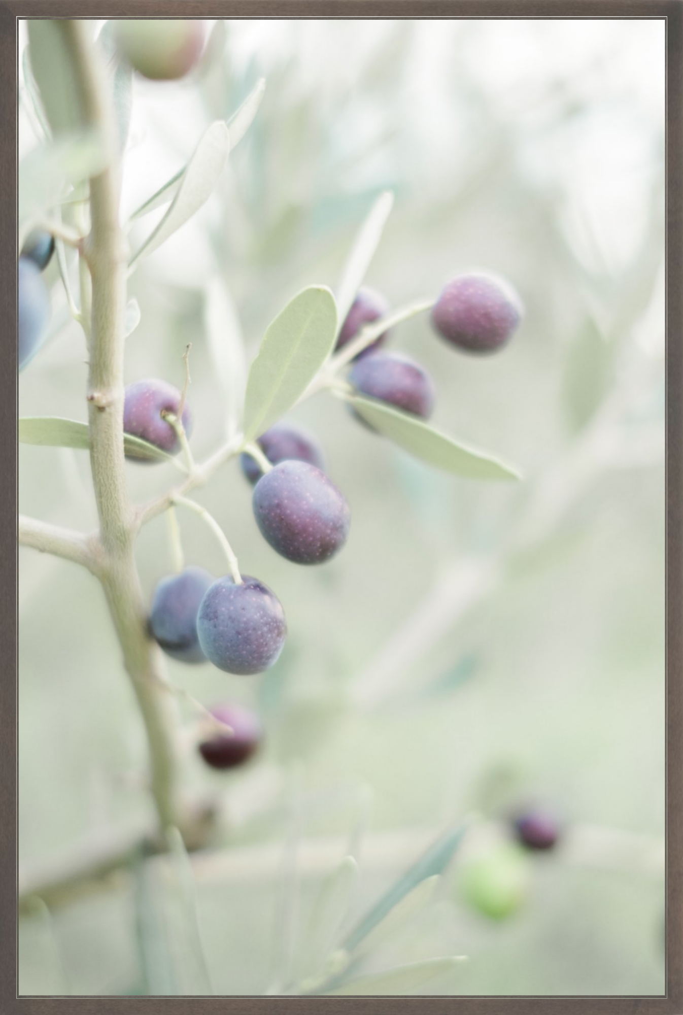 Olive You