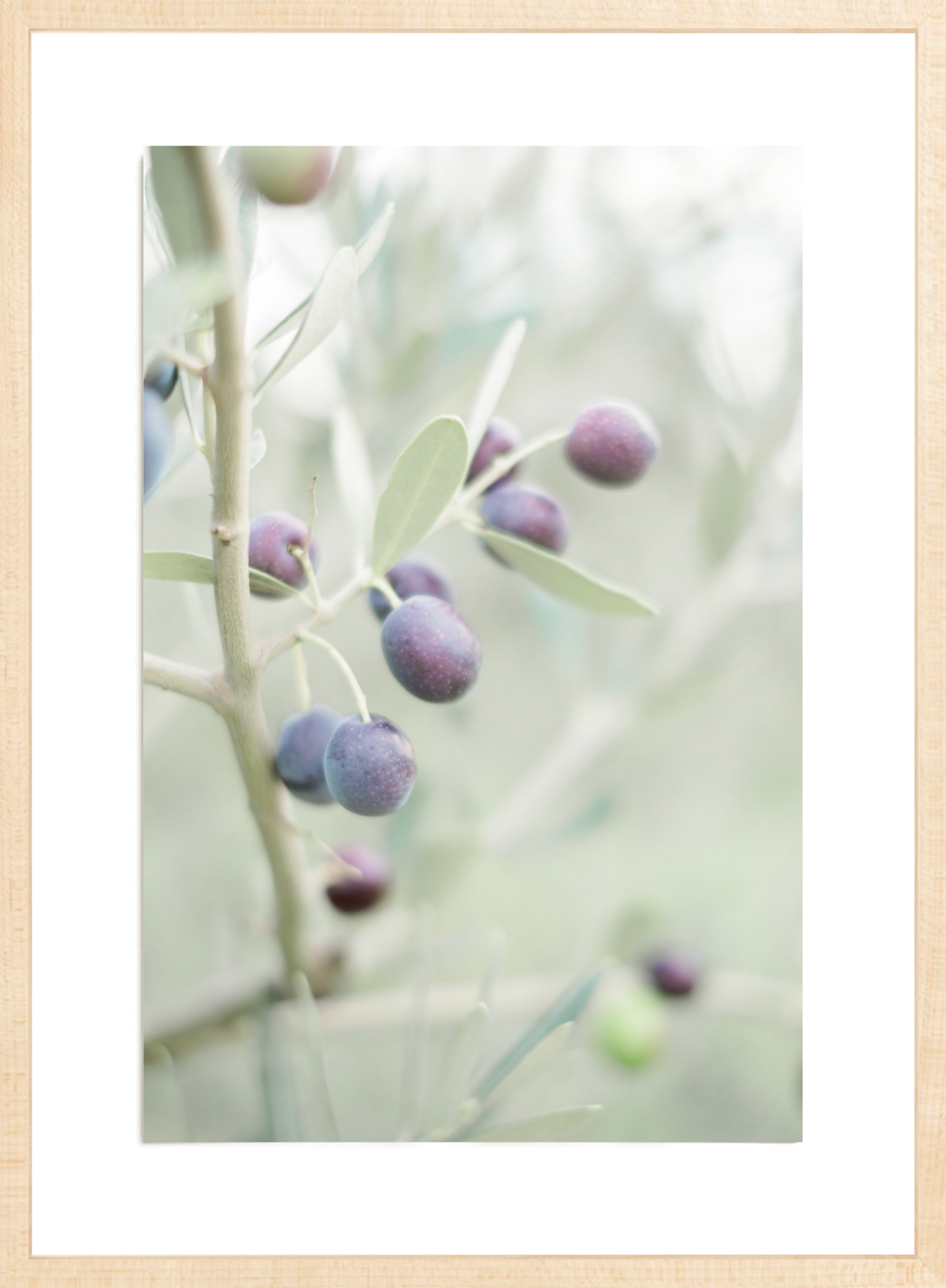 Olive You