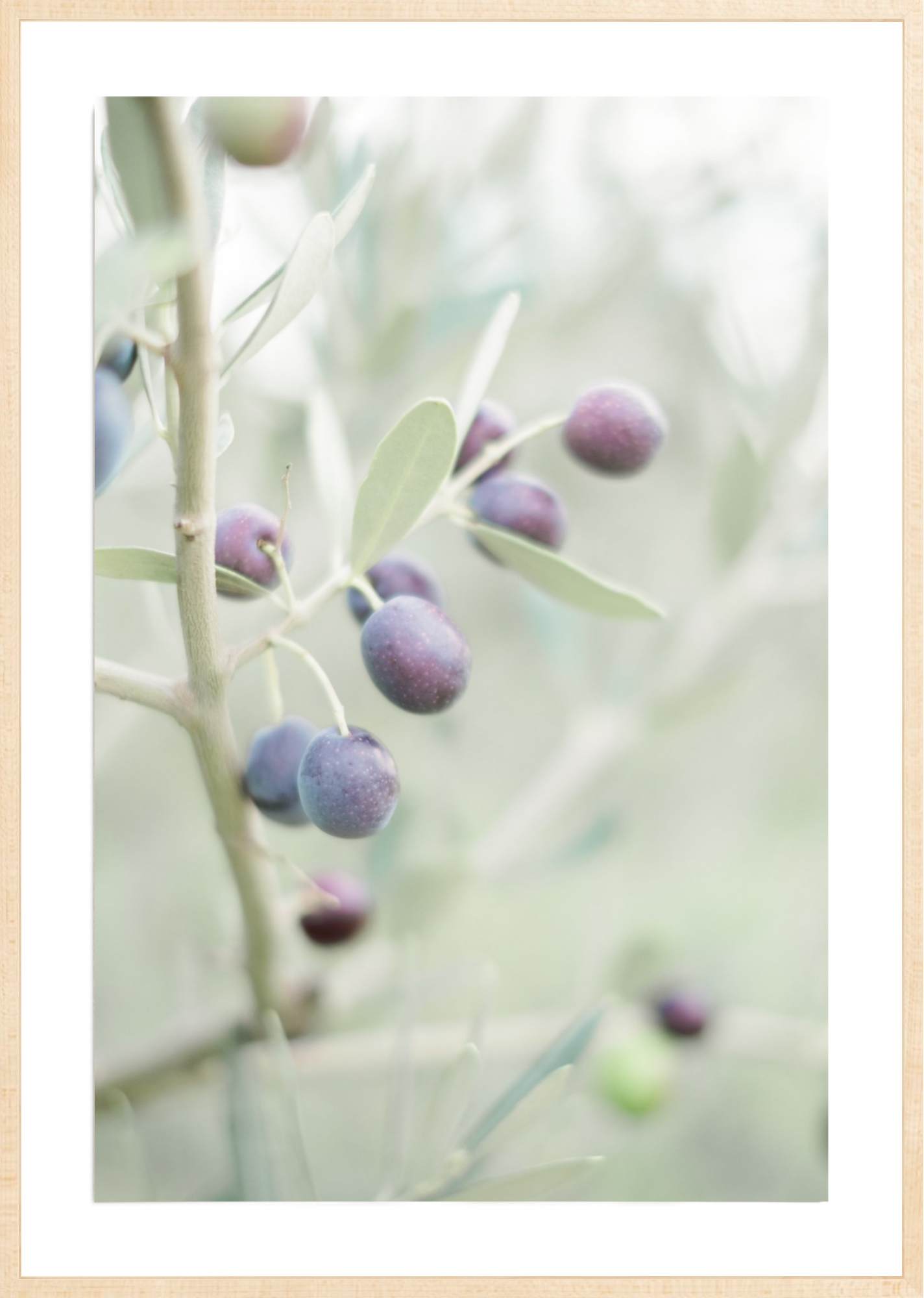 Olive You