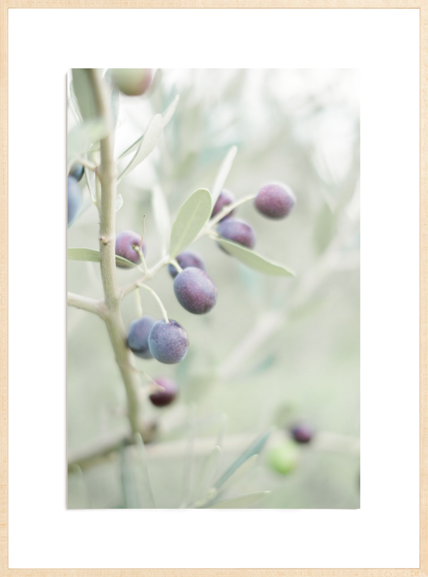 Olive You