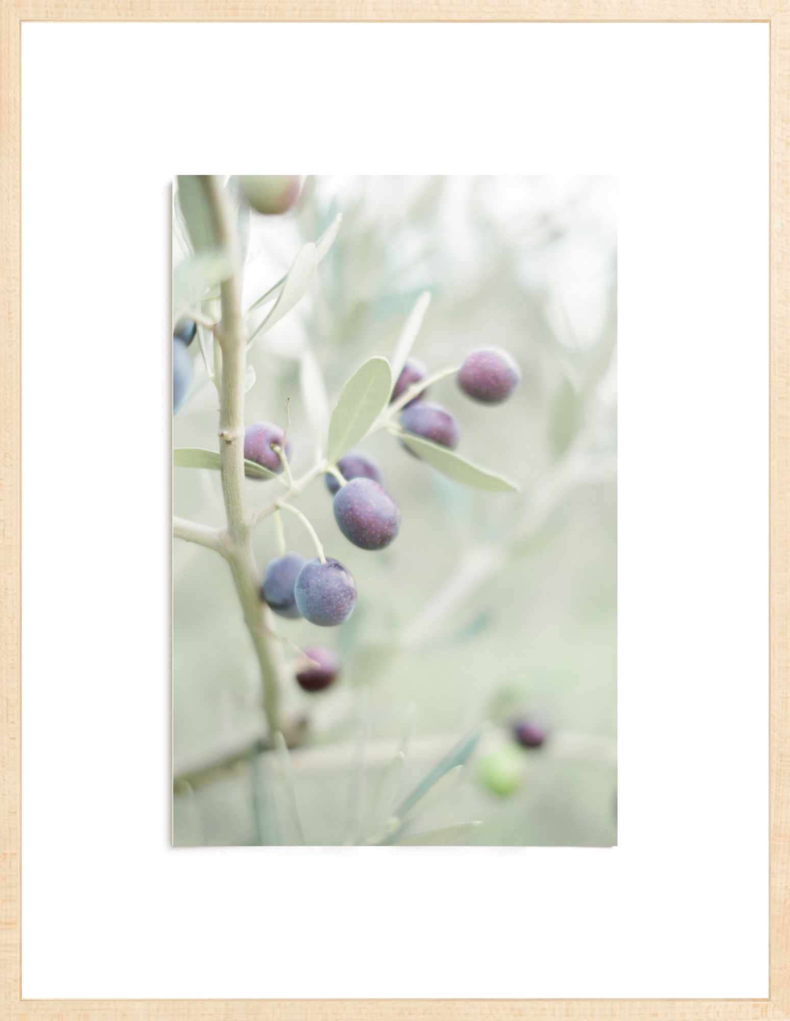 Olive You