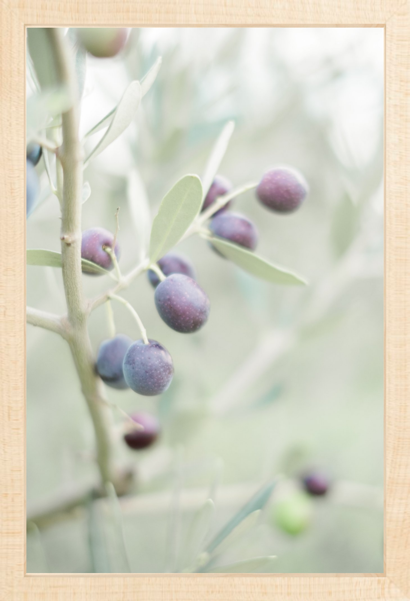 Olive You