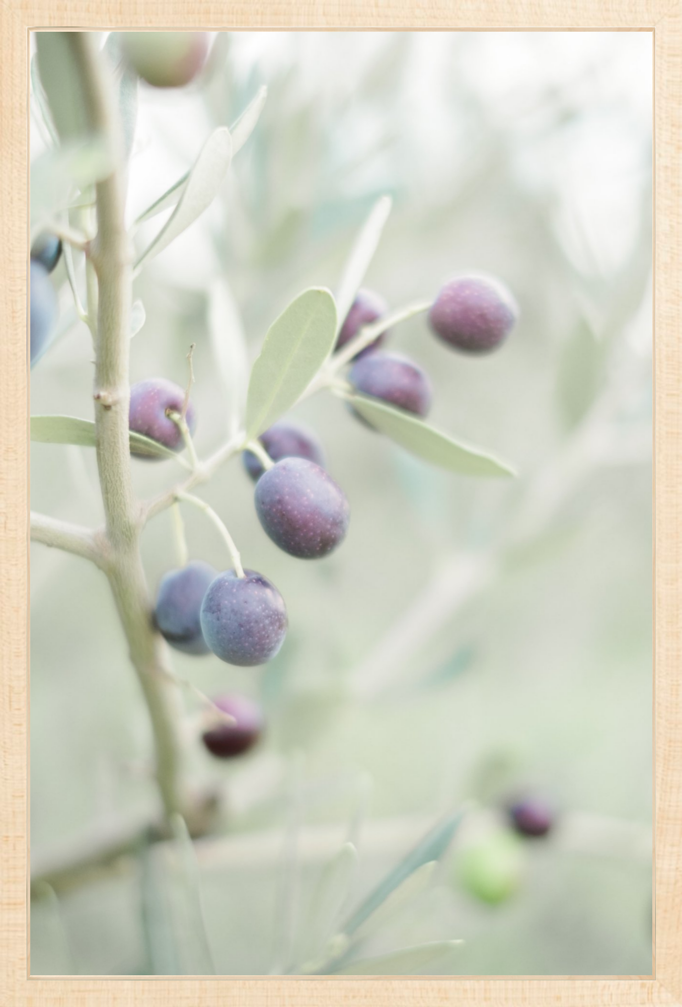 Olive You