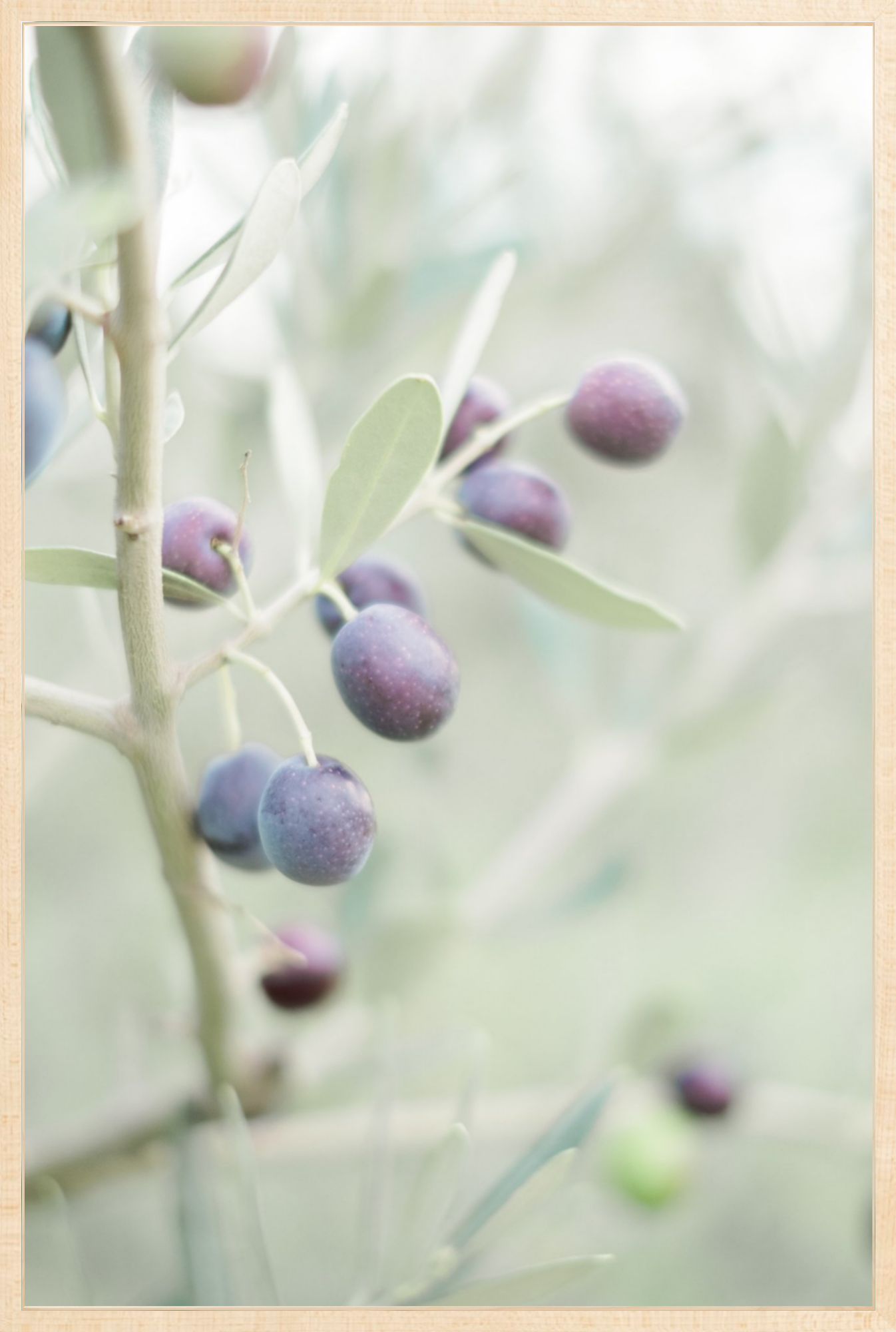 Olive You