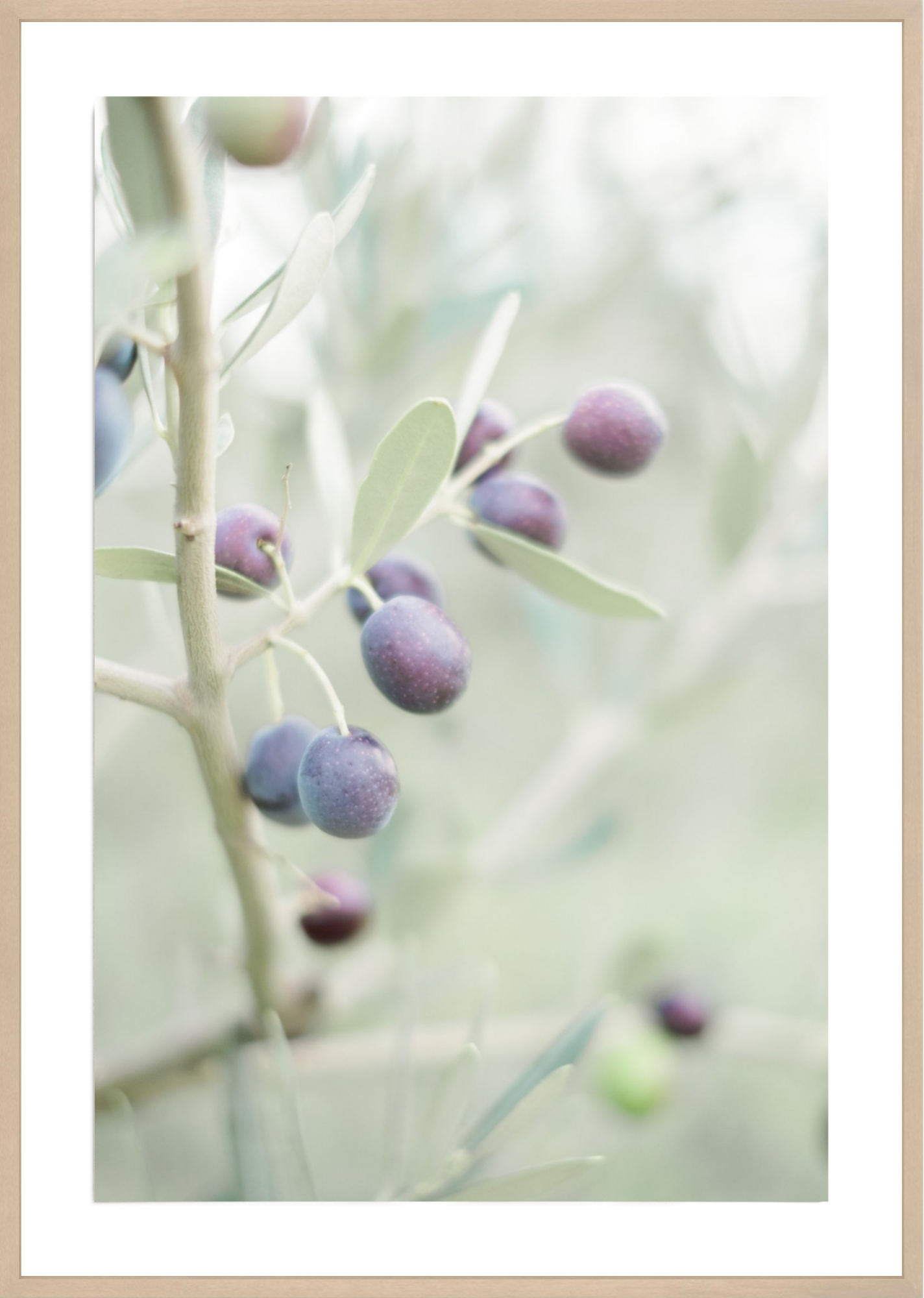 Olive You