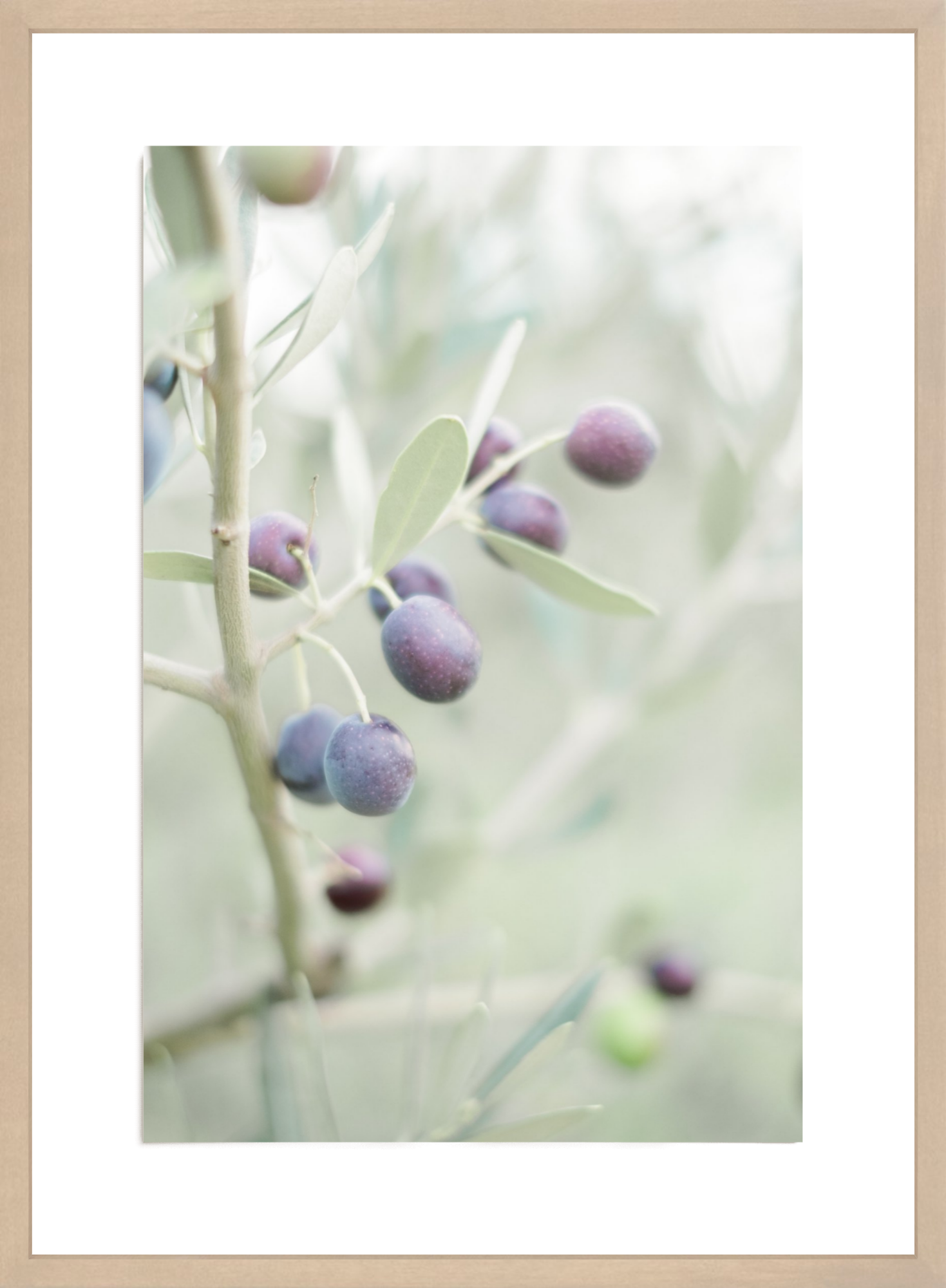 Olive You