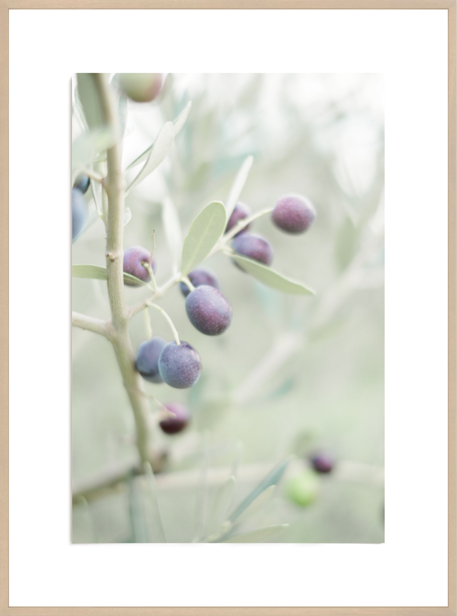 Olive You