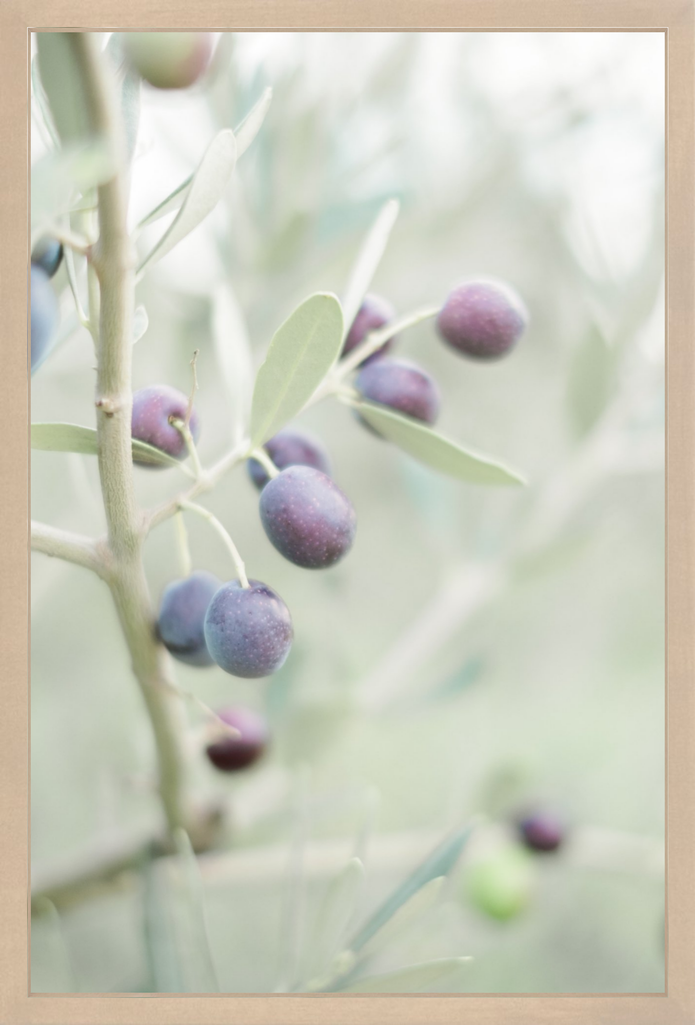 Olive You
