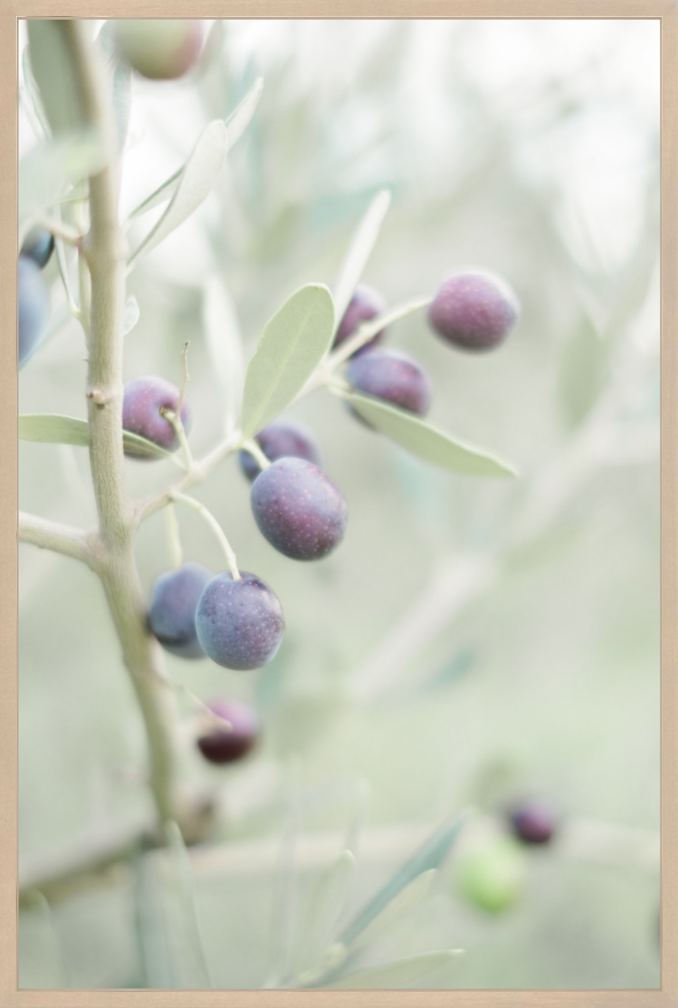 Olive You