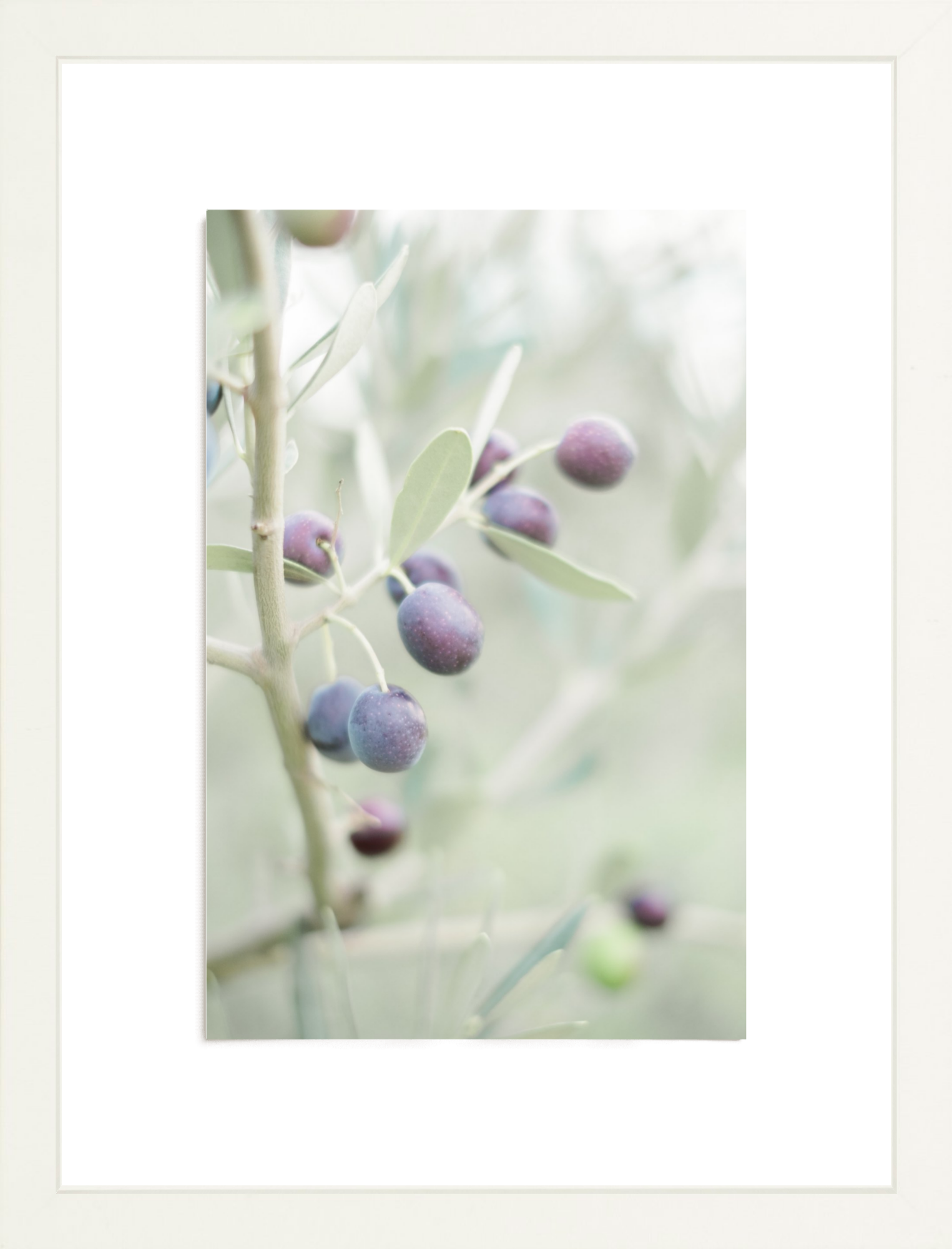 Olive You