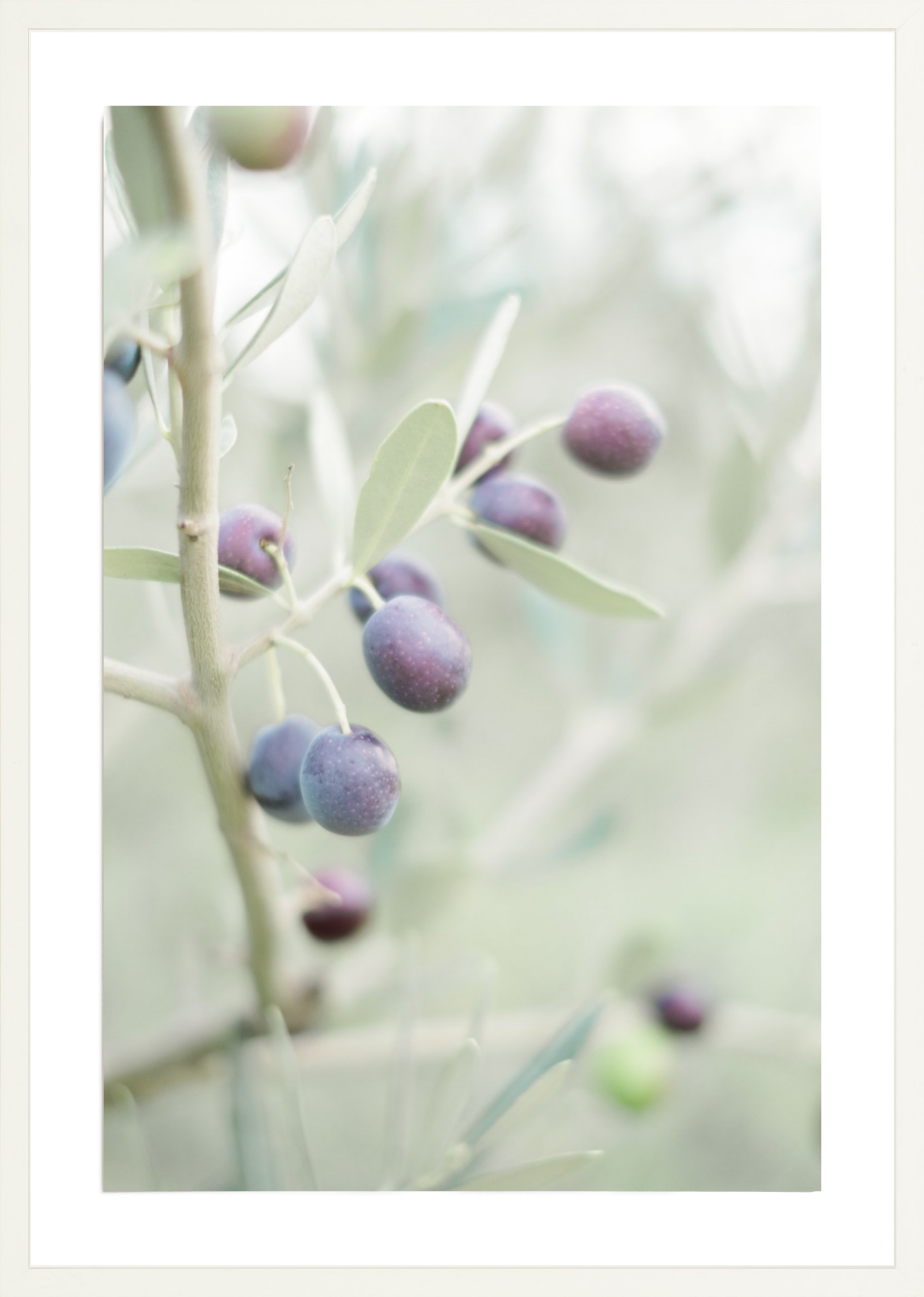Olive You