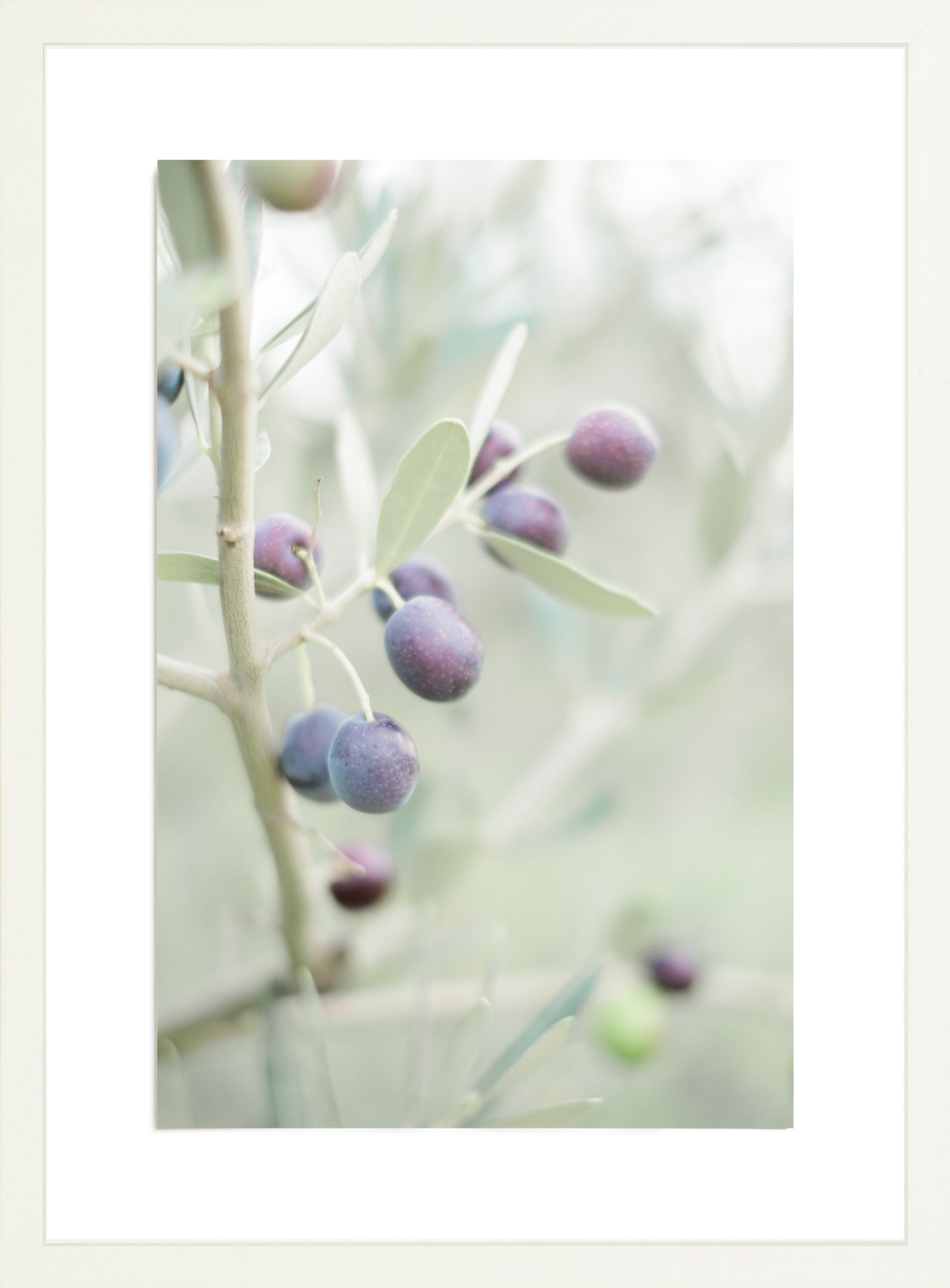 Olive You