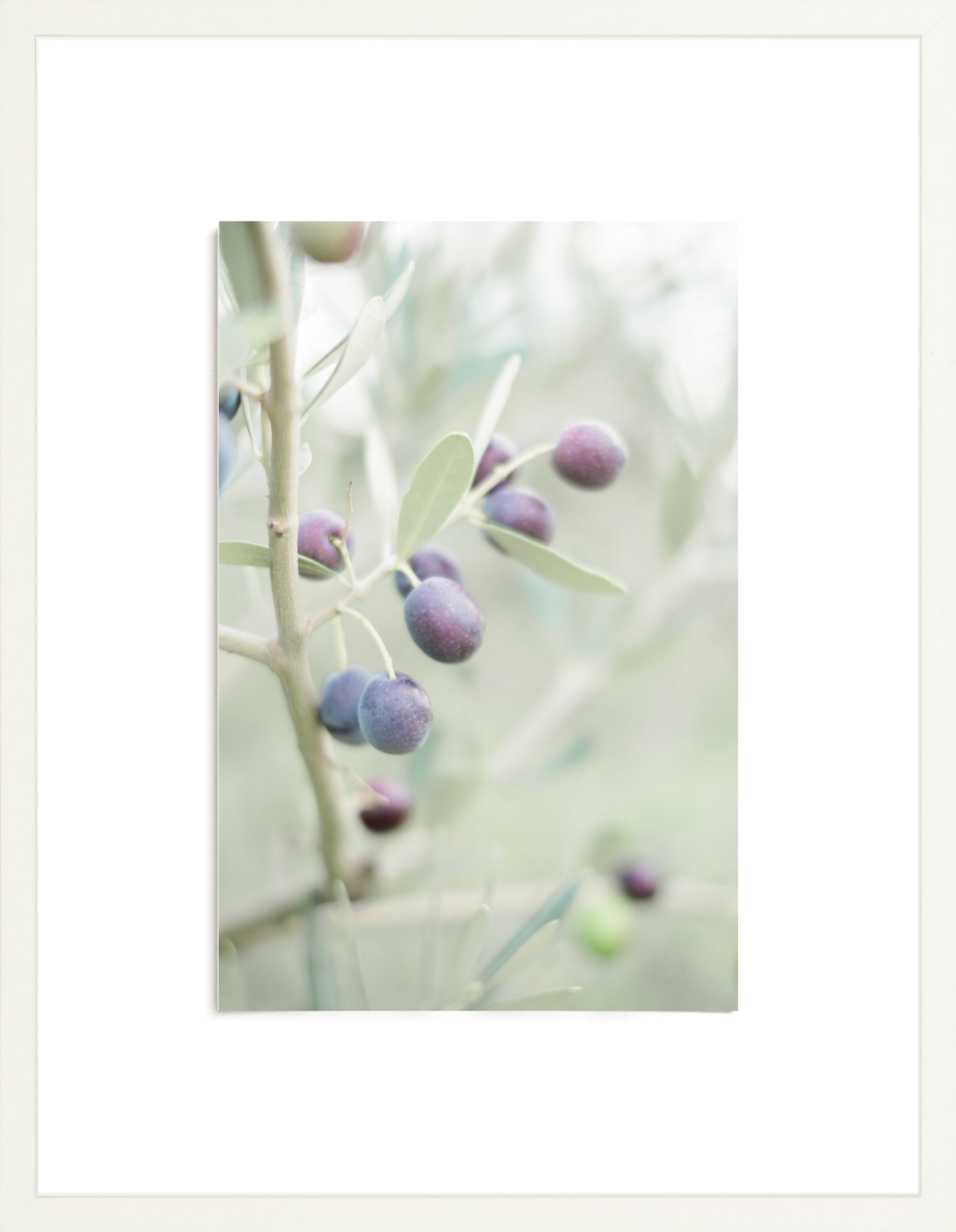 Olive You