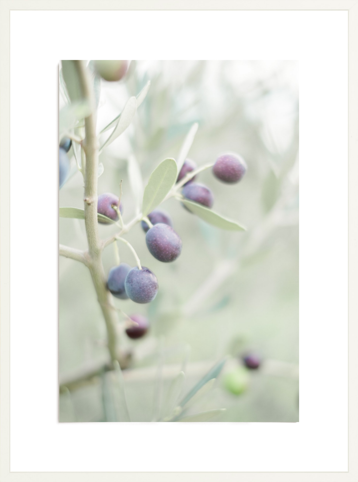 Olive You