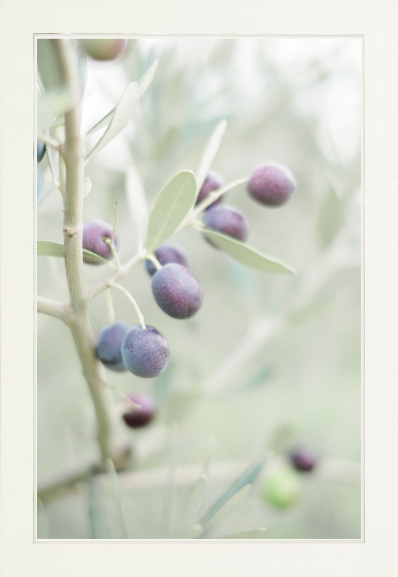 Olive You