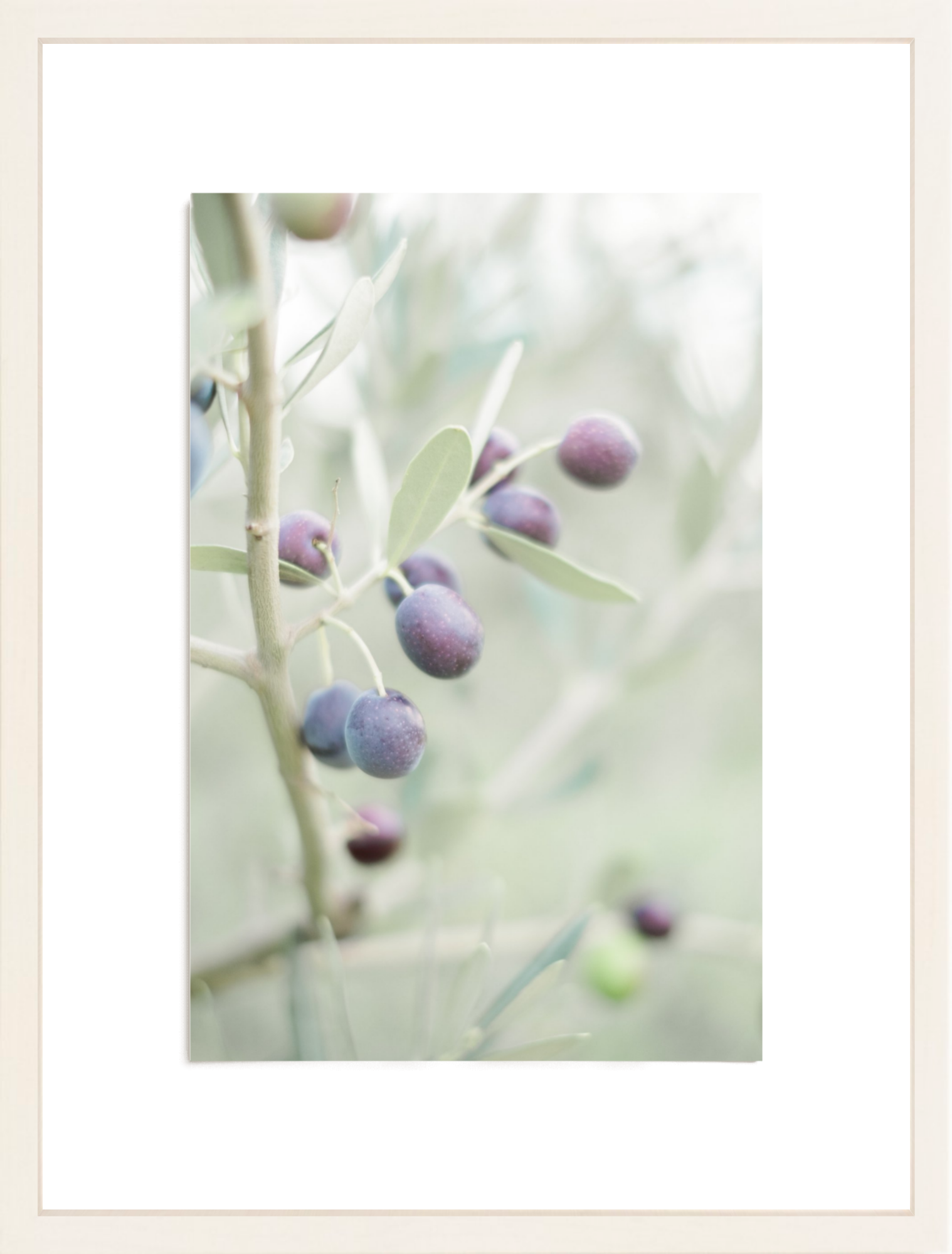 Olive You