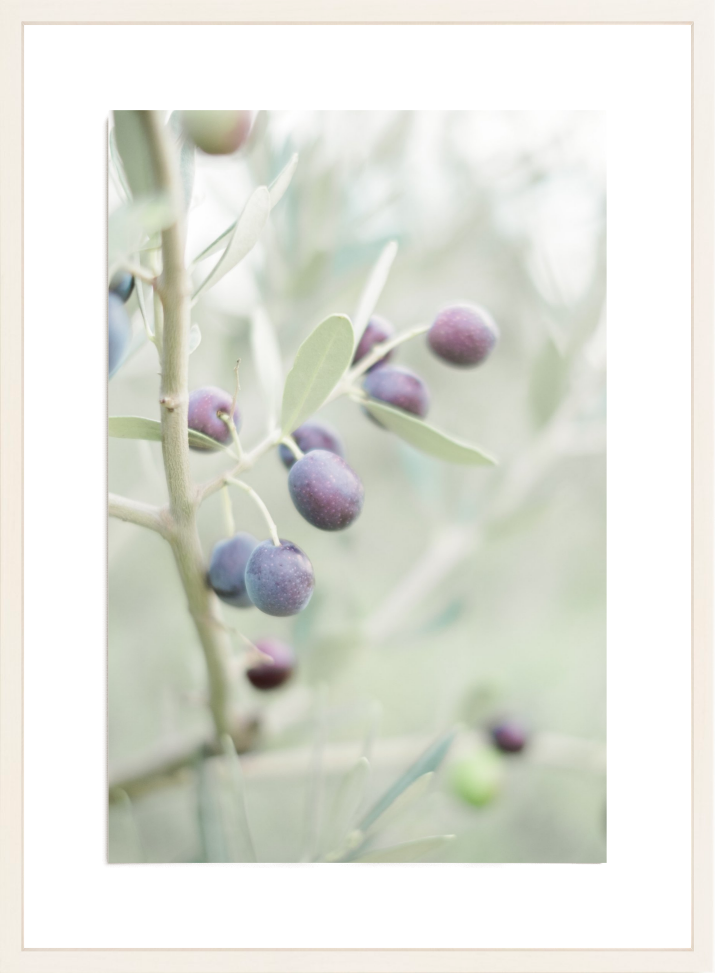 Olive You