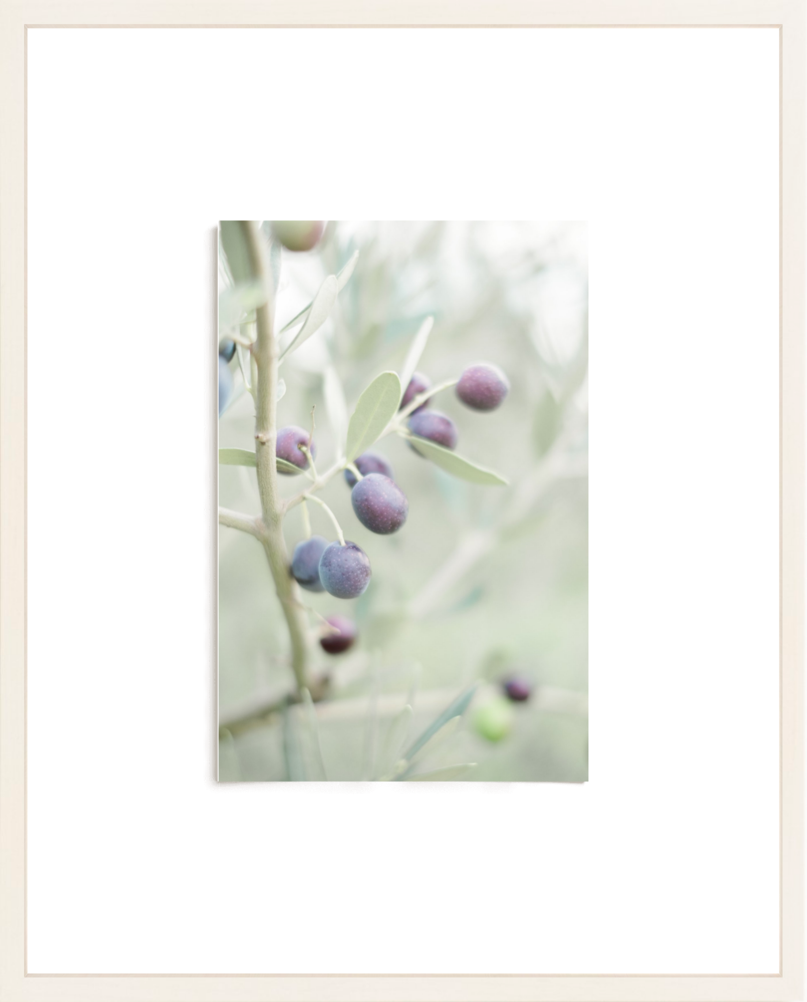Olive You