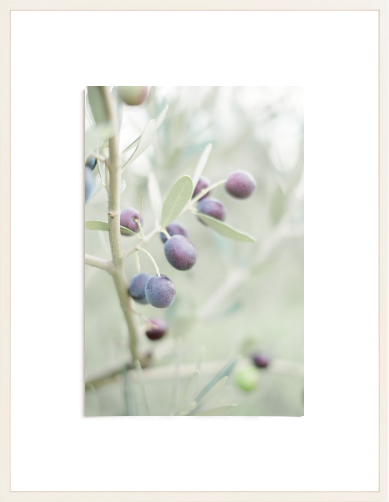 Olive You
