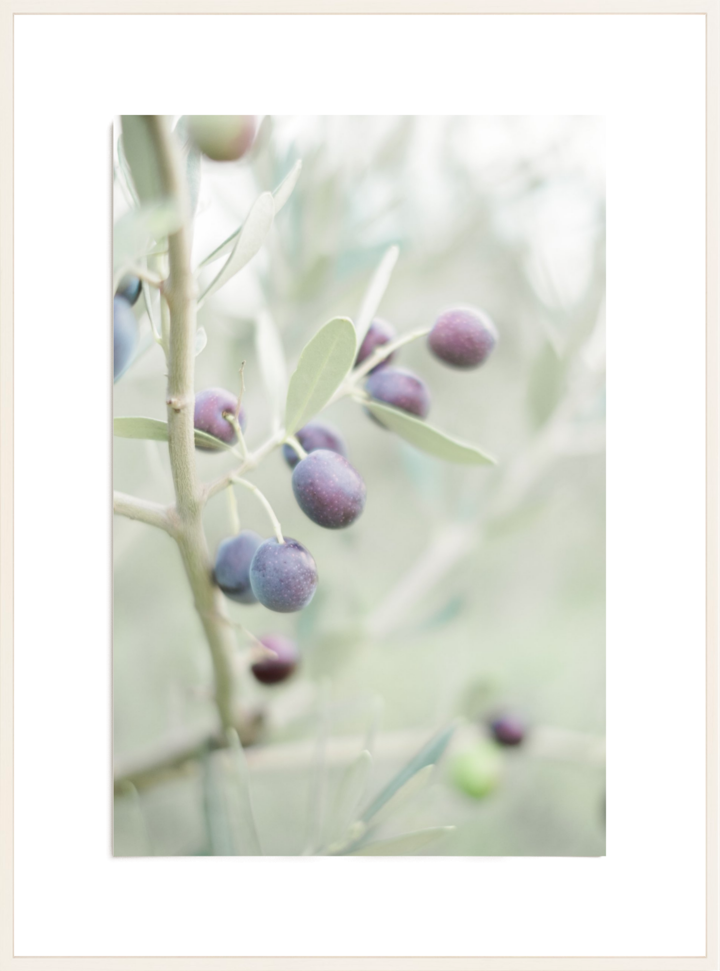 Olive You