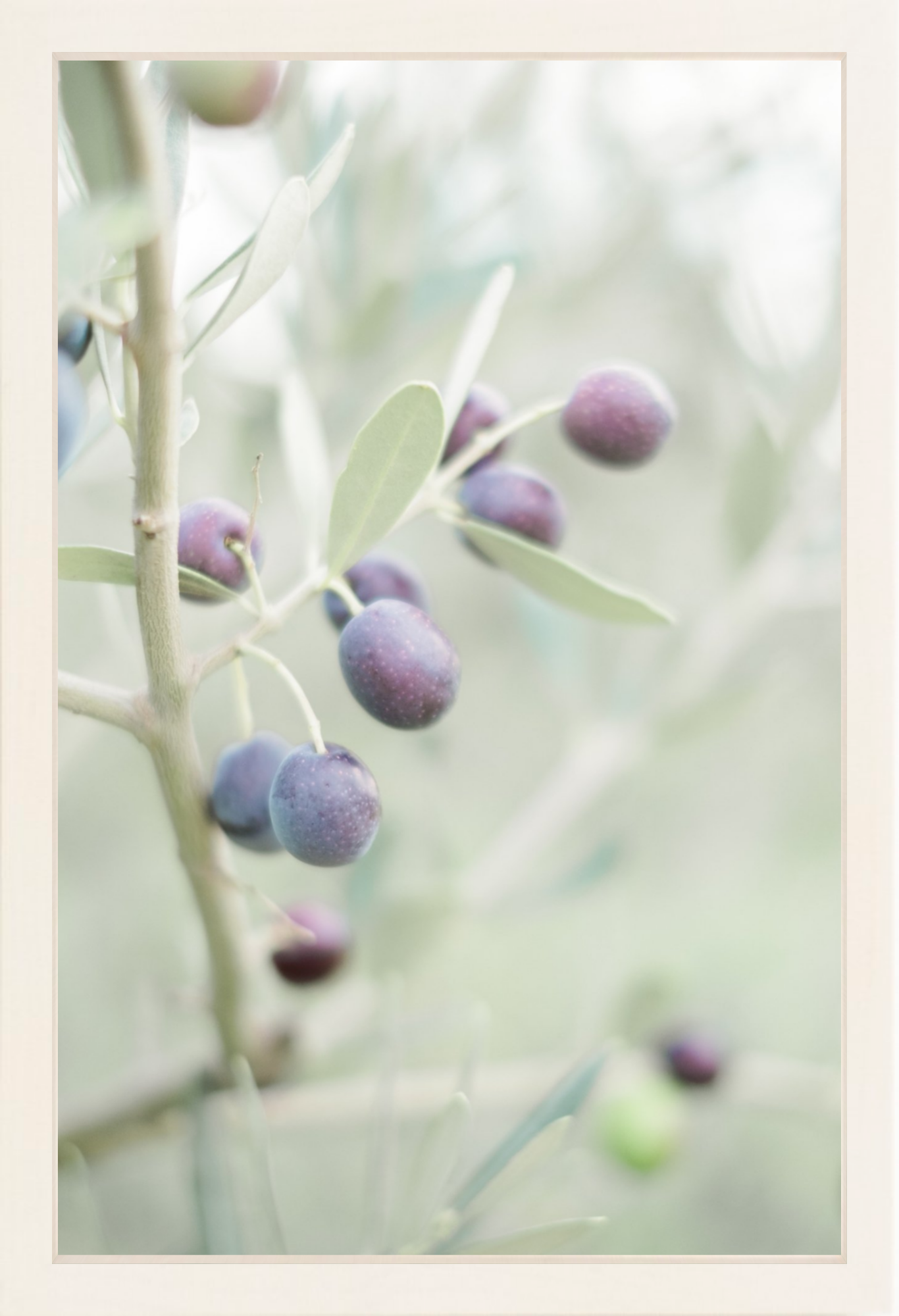 Olive You