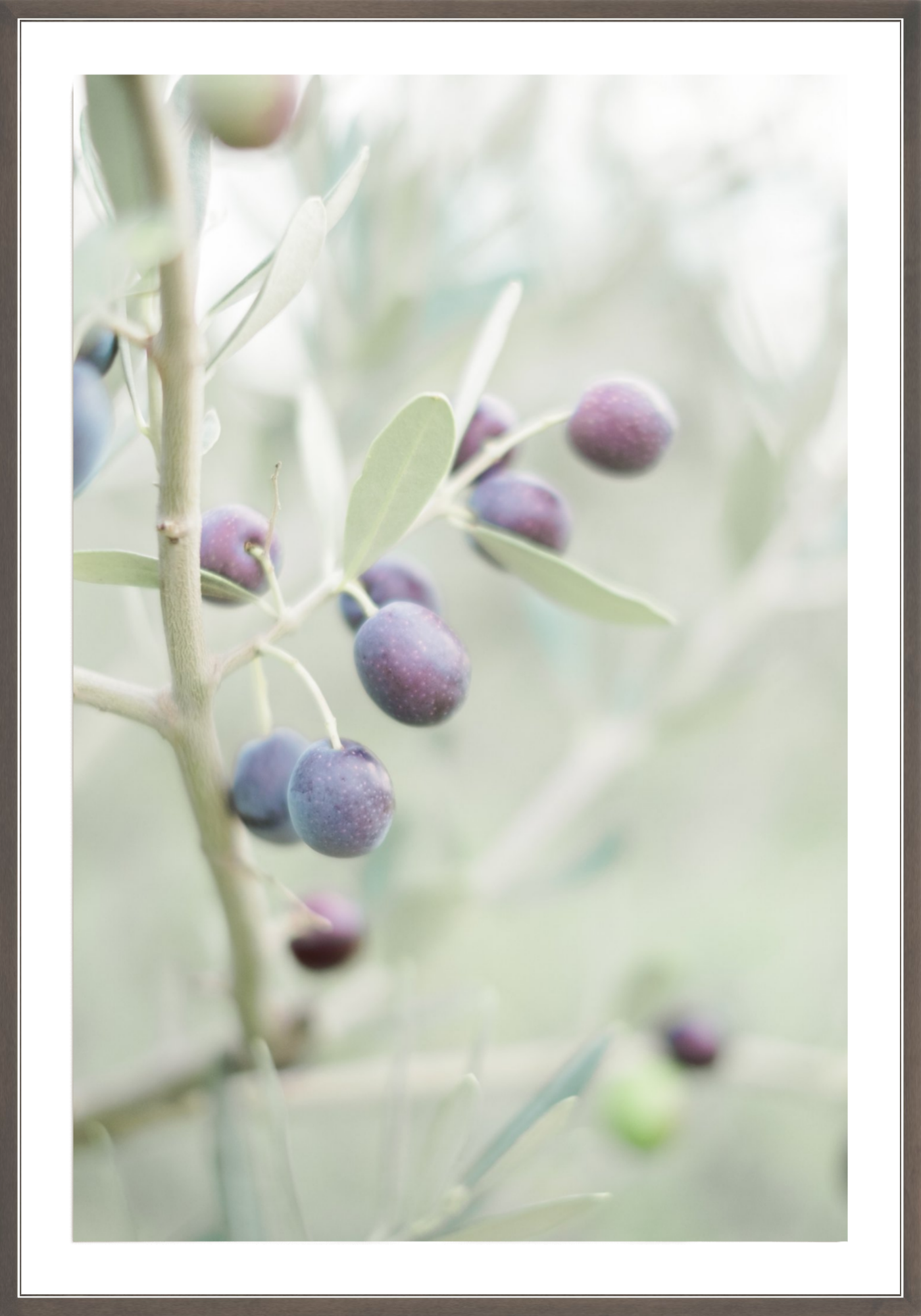 Olive You