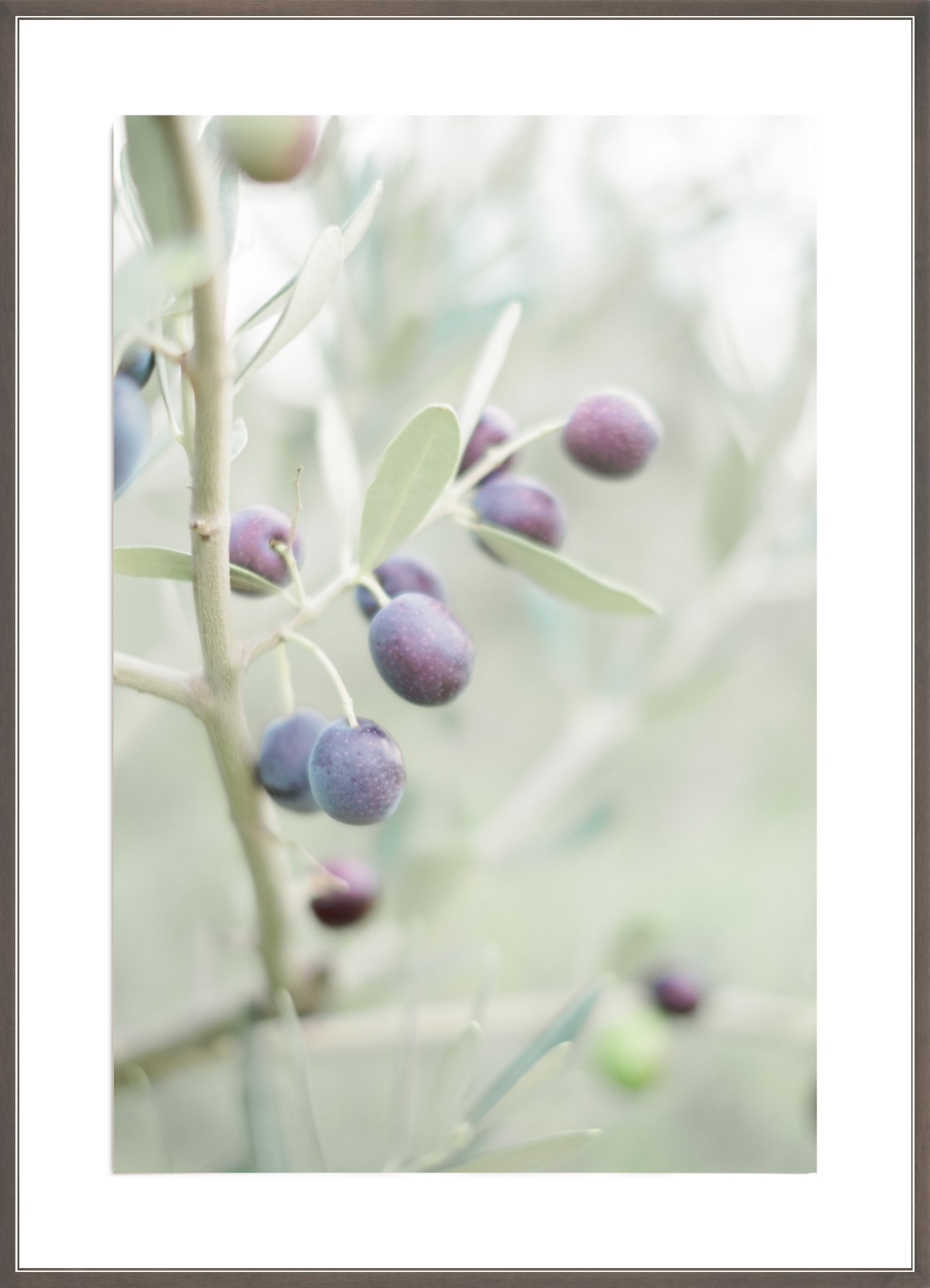 Olive You