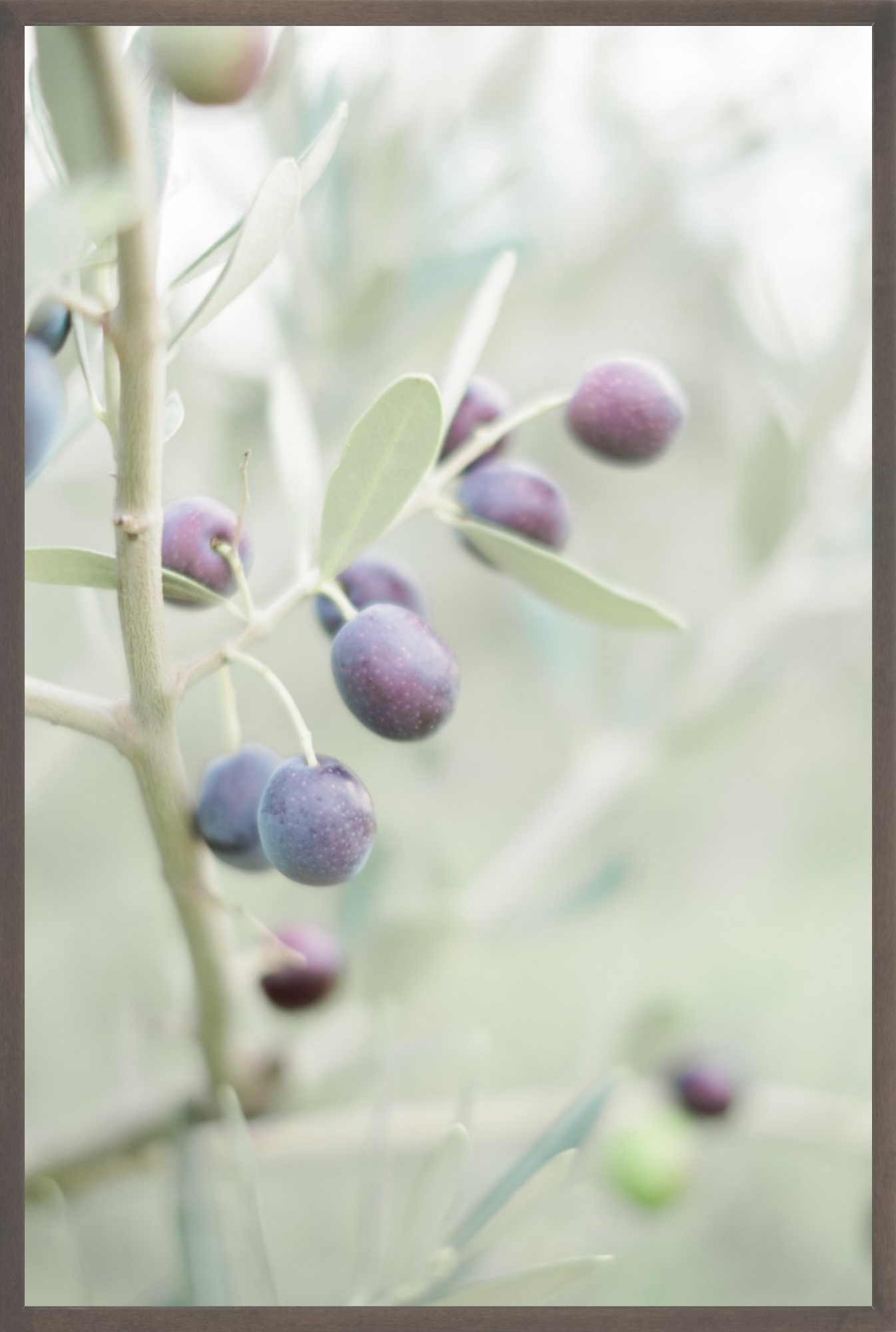 Olive You
