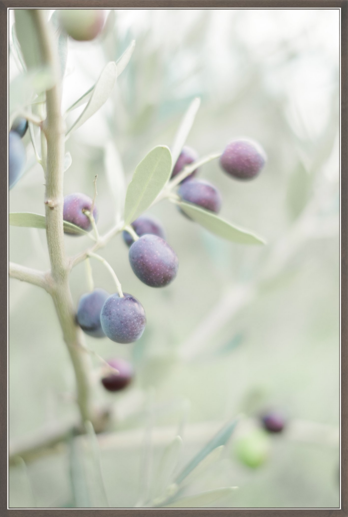 Olive You