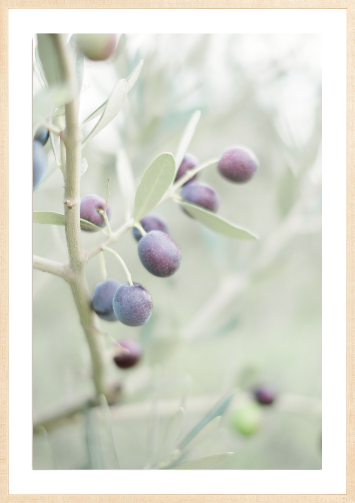 Olive You