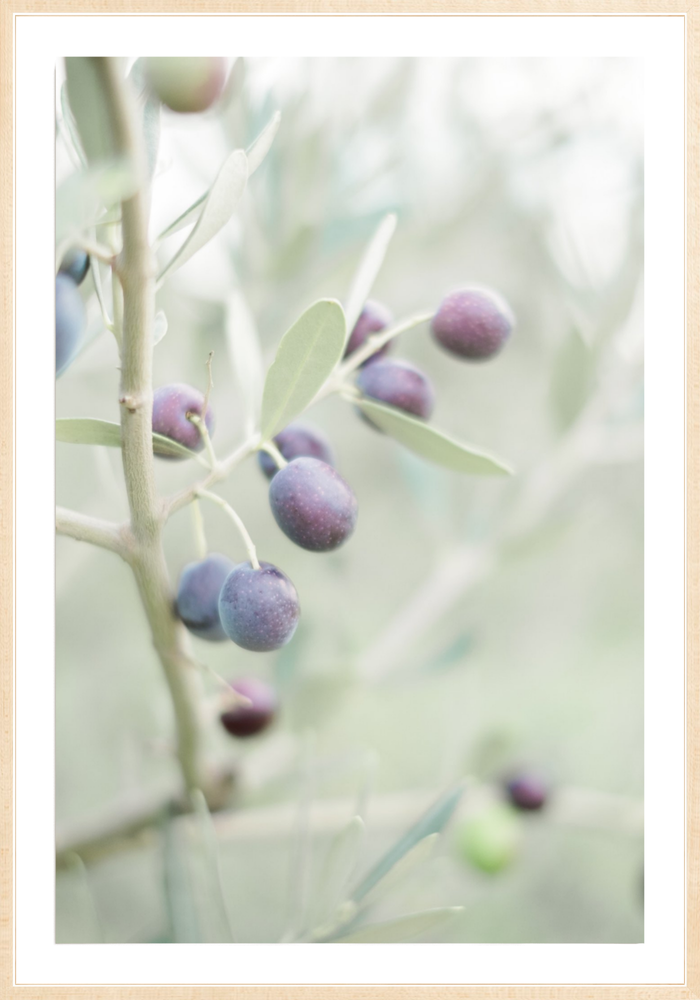 Olive You