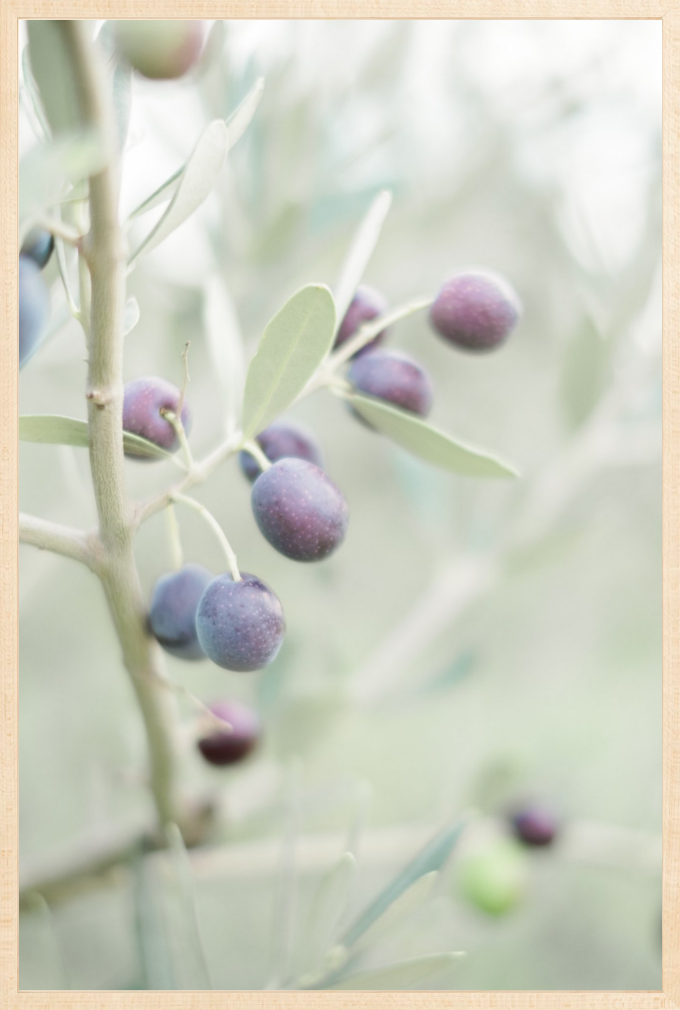 Olive You