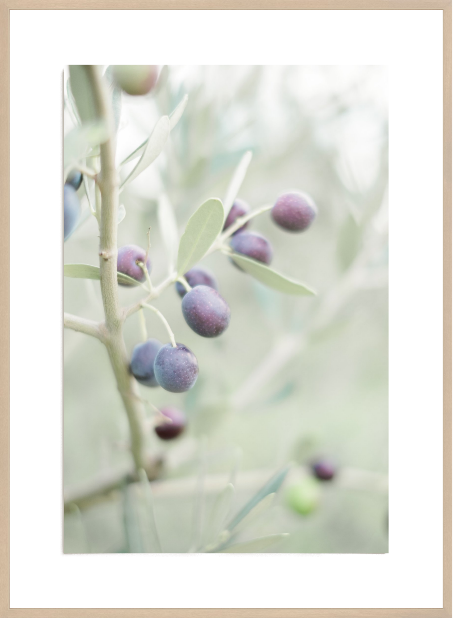 Olive You