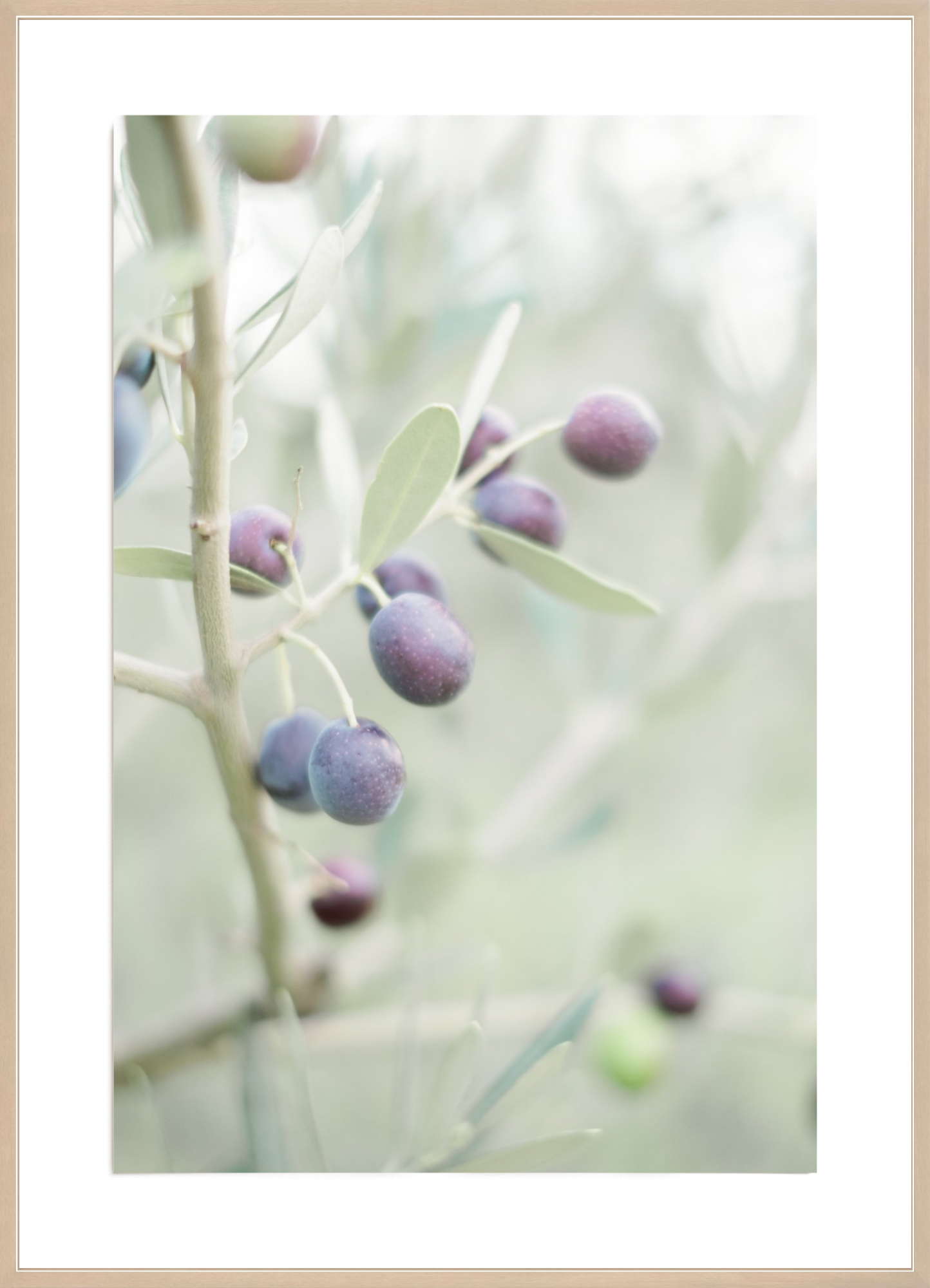 Olive You
