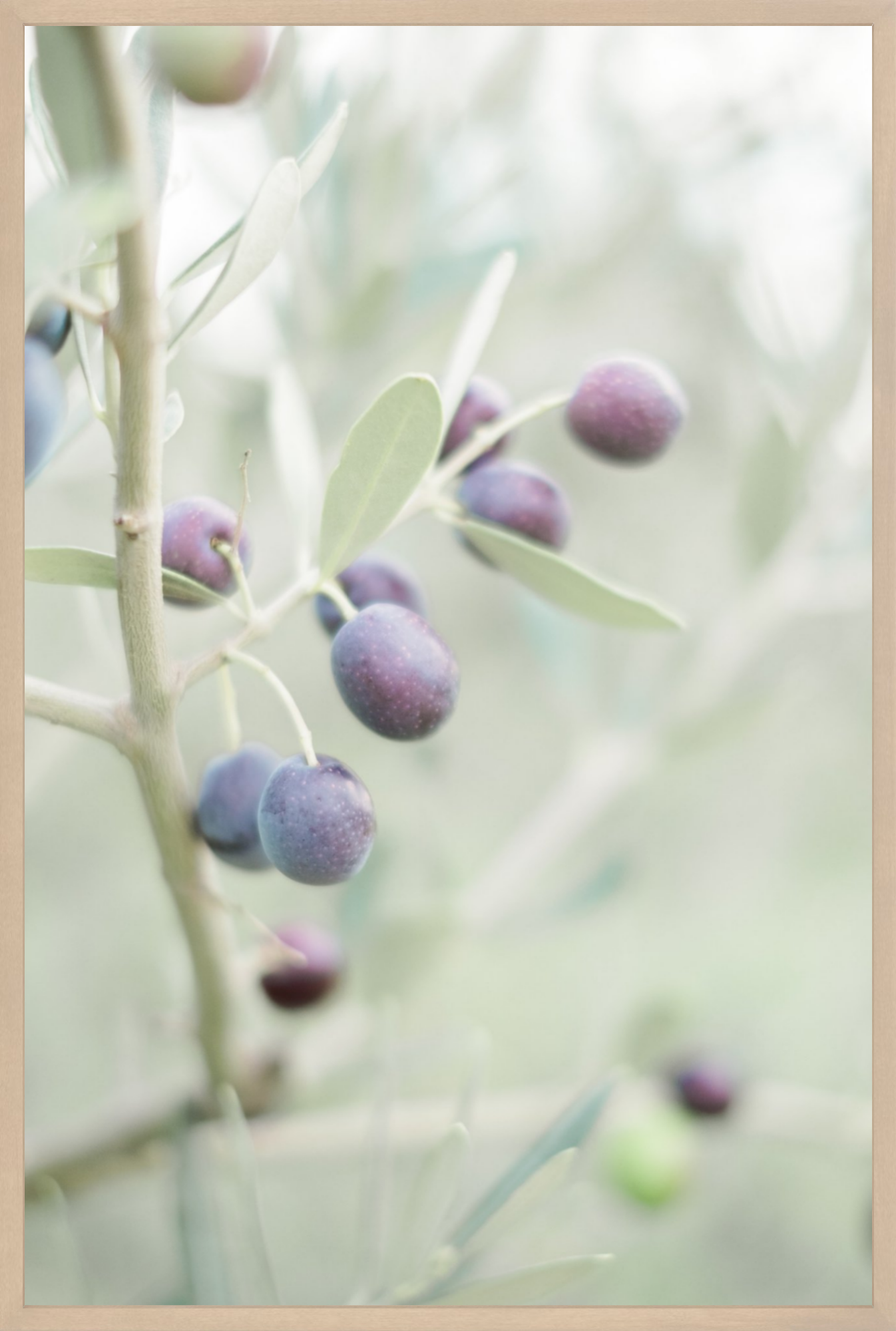 Olive You