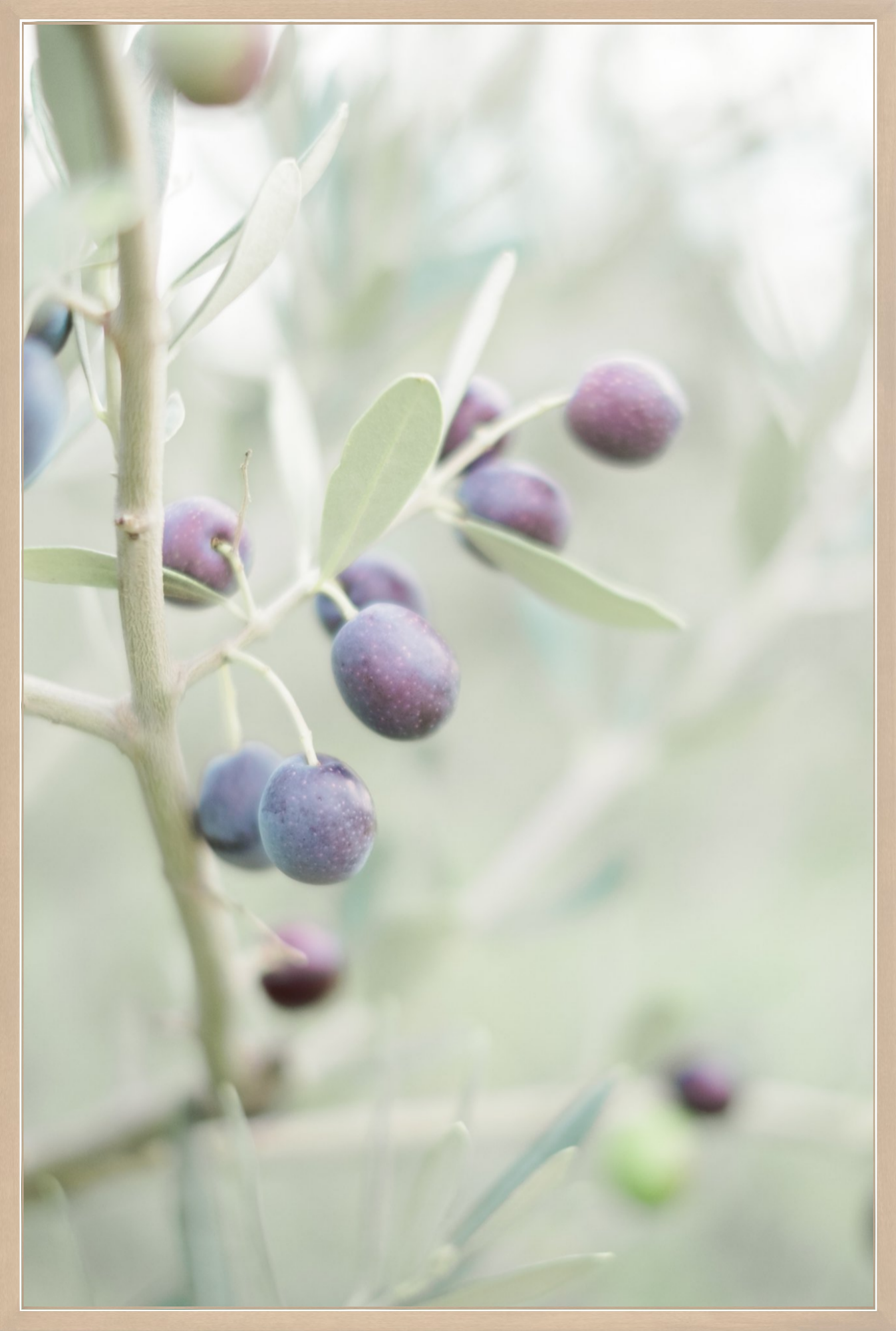 Olive You