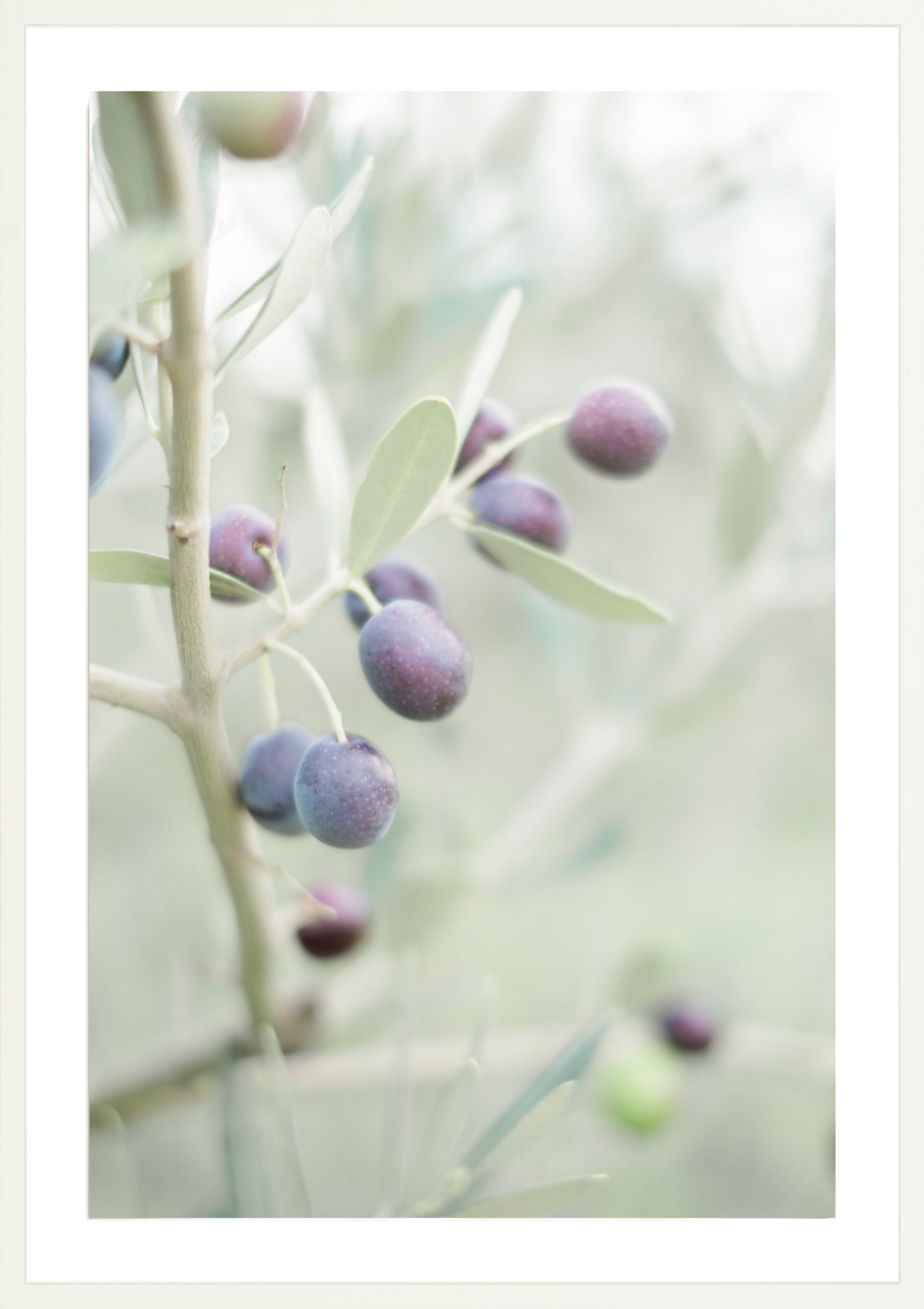 Olive You