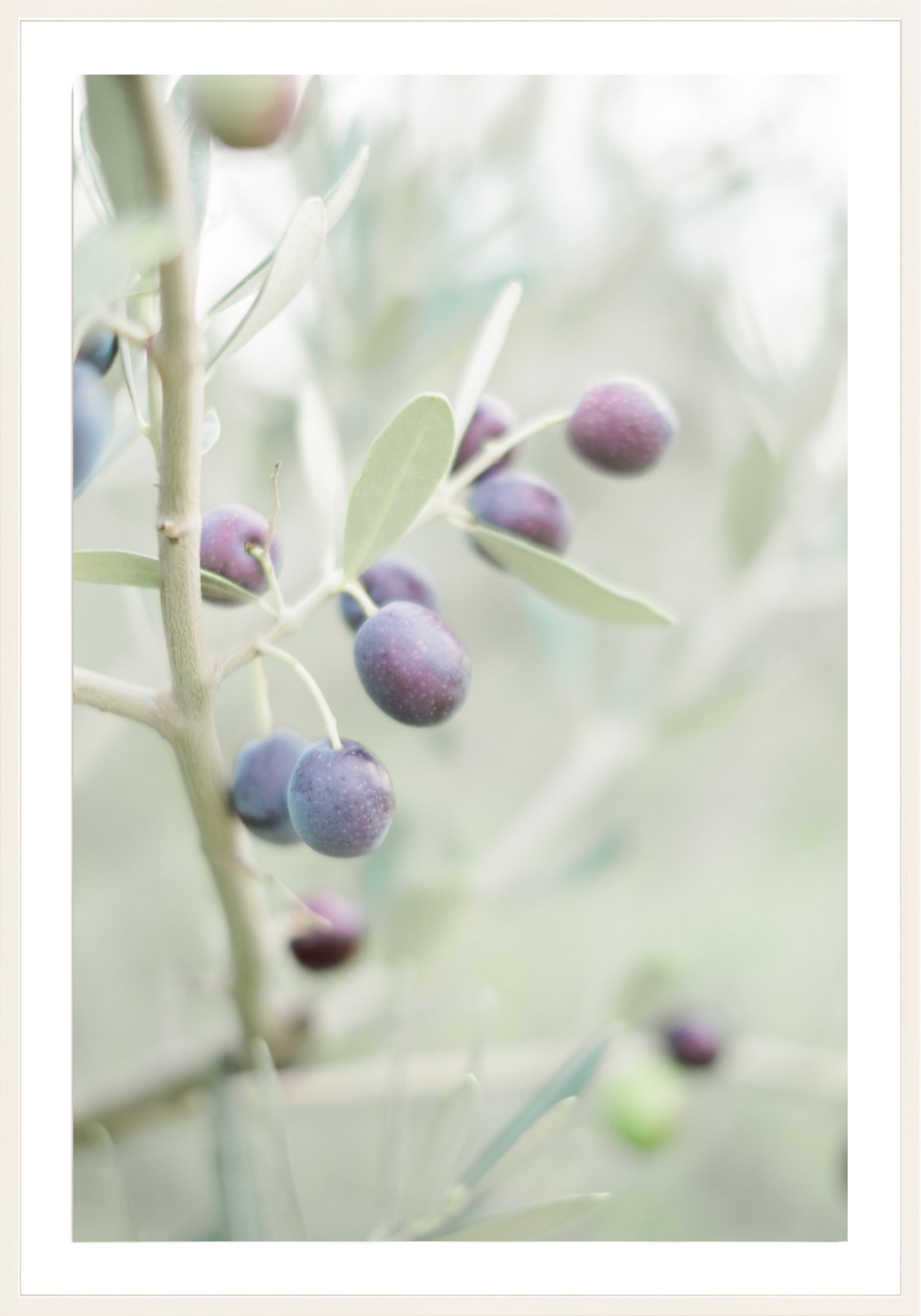 Olive You
