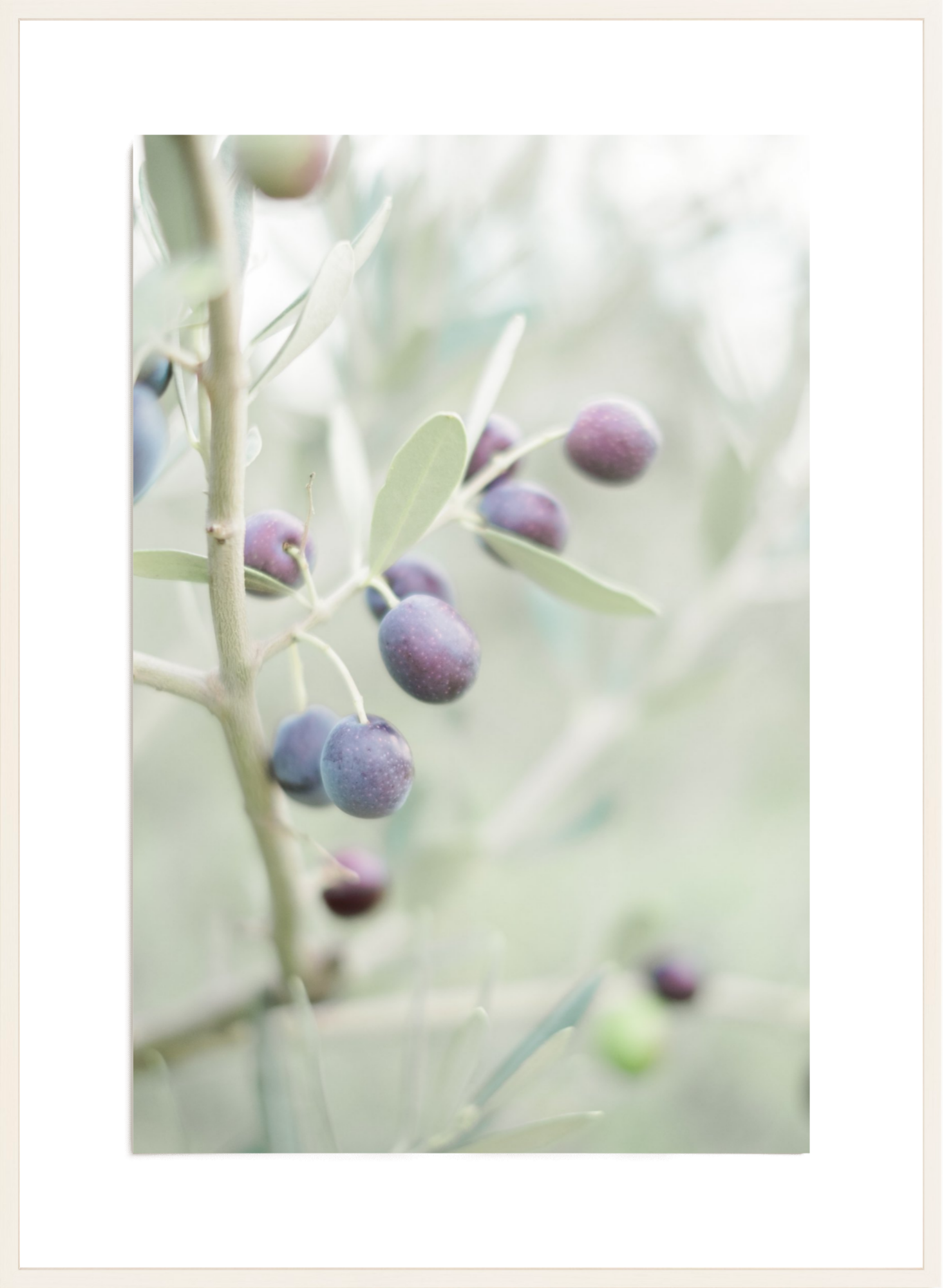 Olive You